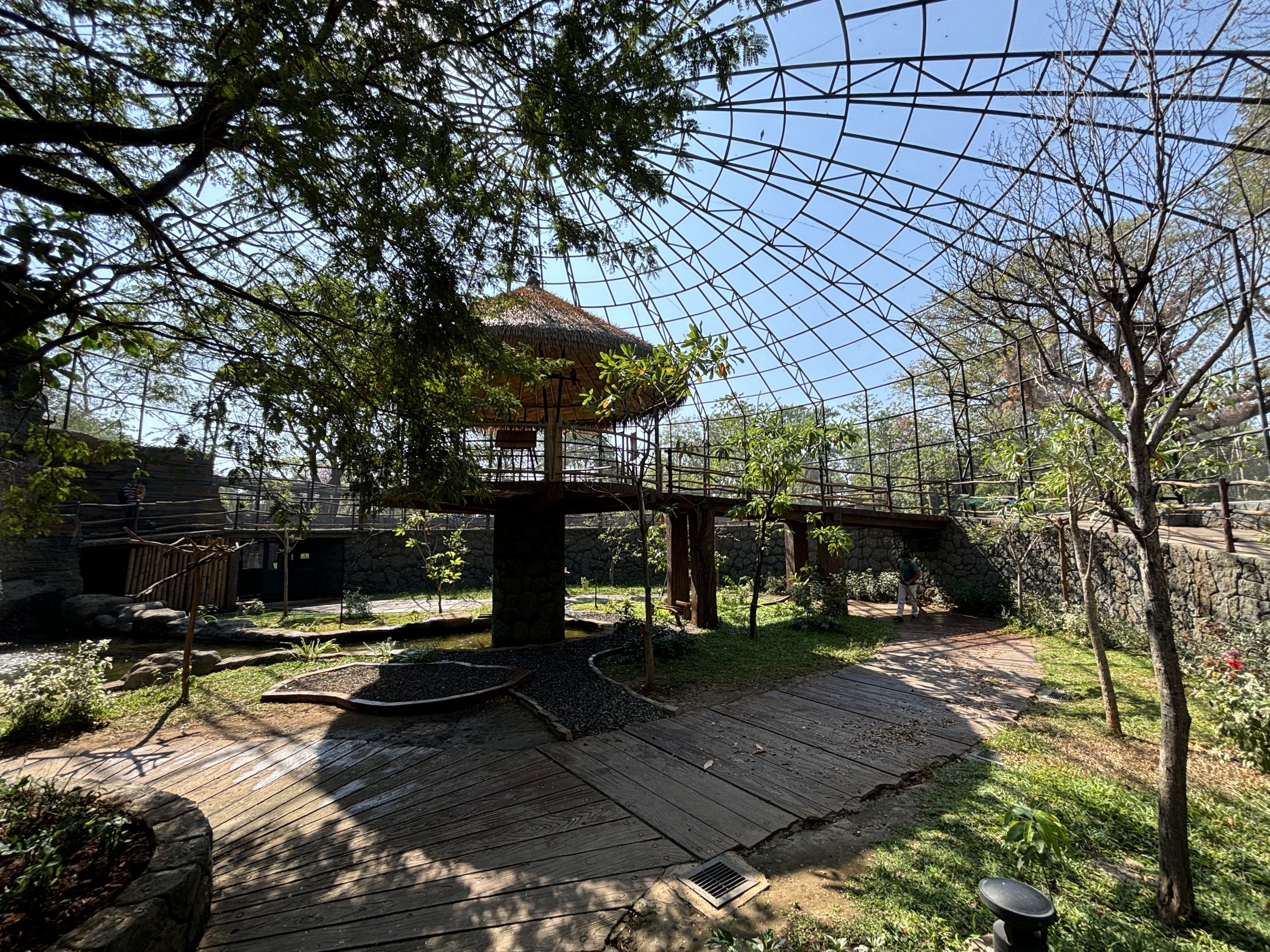 Walk-through Aviary - Solo Safari