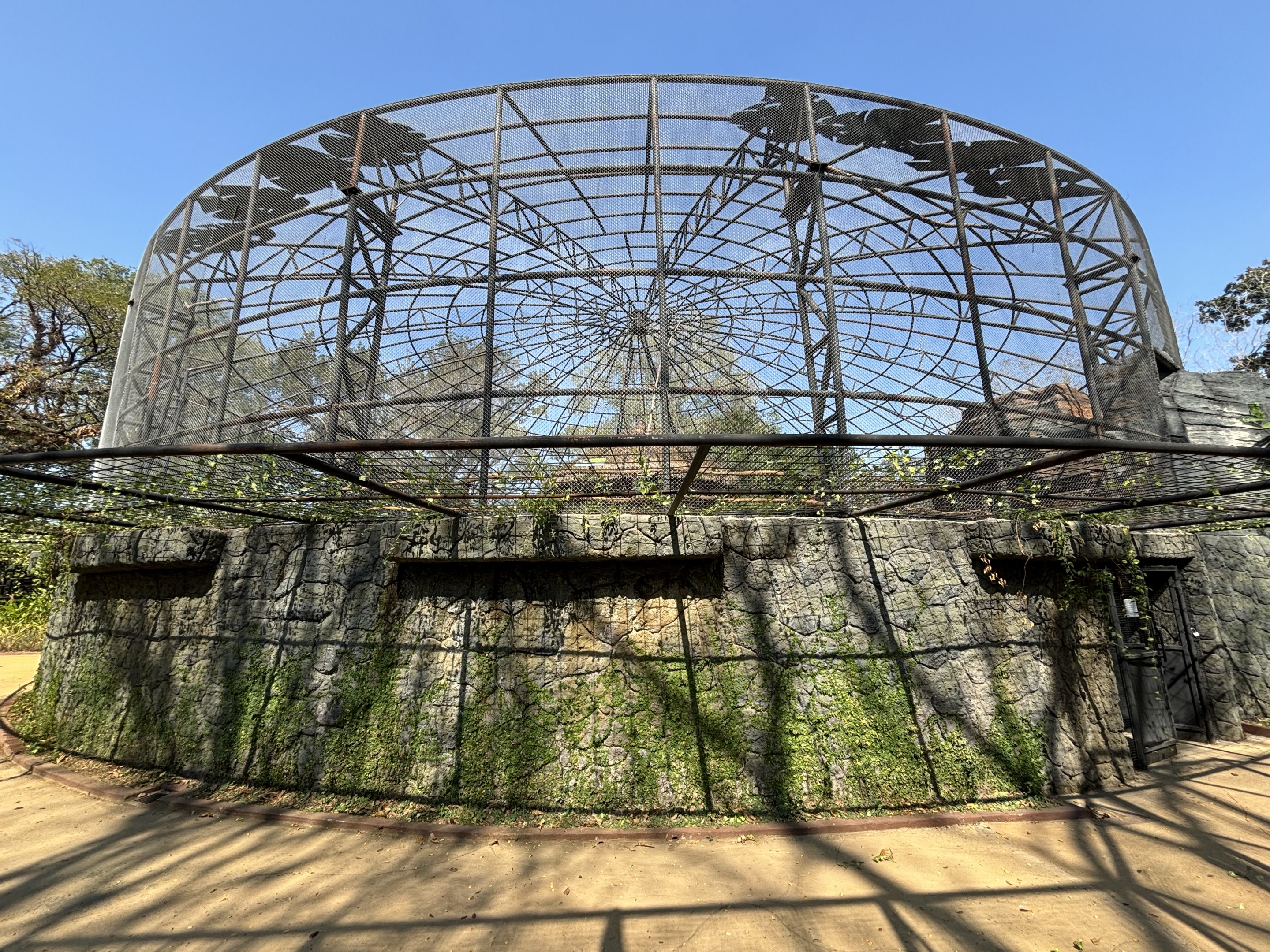 Walk-through Aviary - Solo Safari