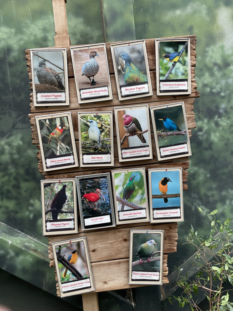 Walk-Through Aviary Species List