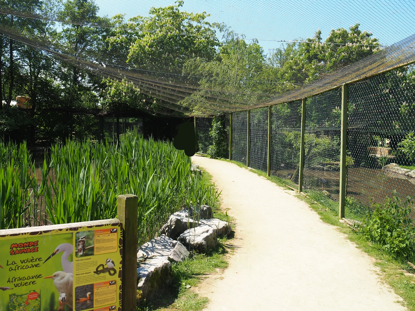Walk-through aviary walkway, with separate Chilean flamingo, Southern screamer, Mallard and Scarlet ibis aviary on the right side, 2023-05-19