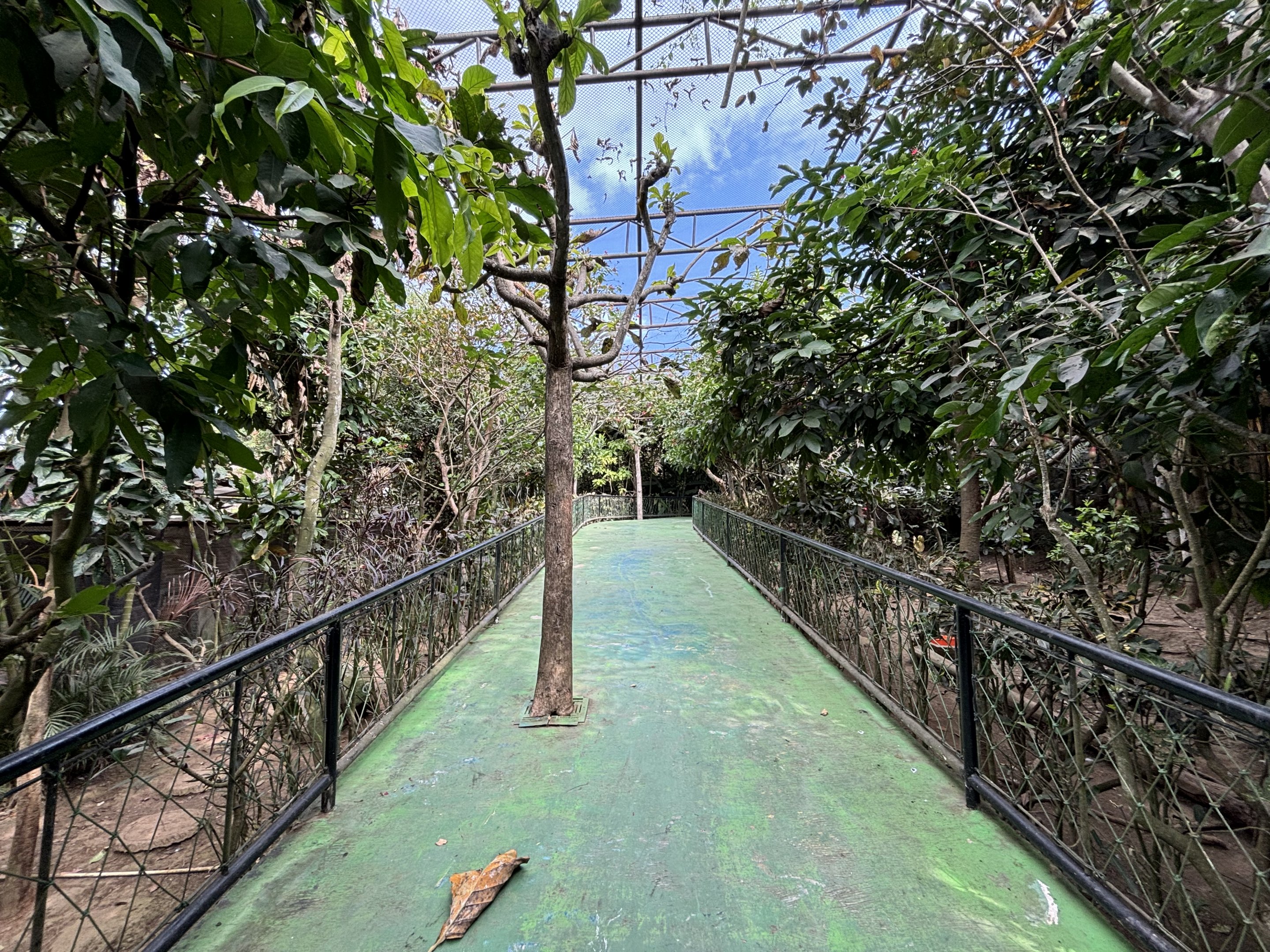 Walk-through Aviary - zero signage