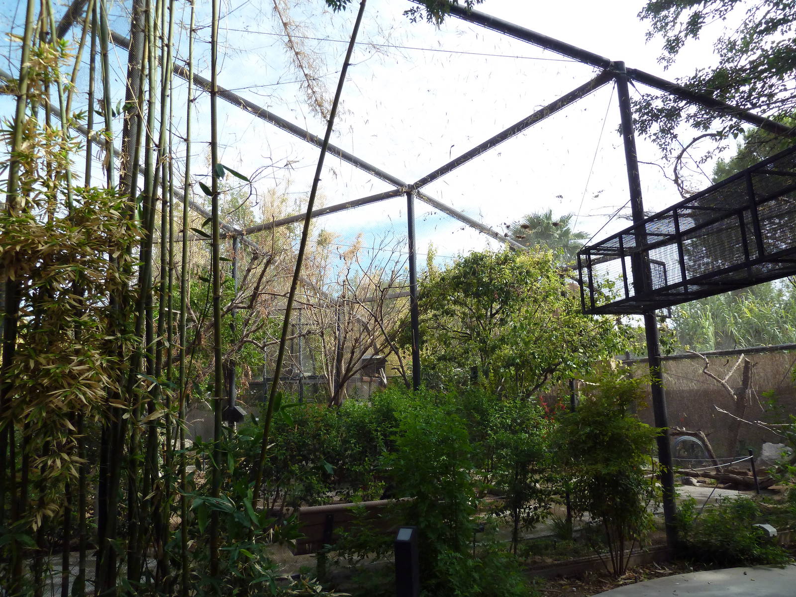 Walk-Through Aviary
