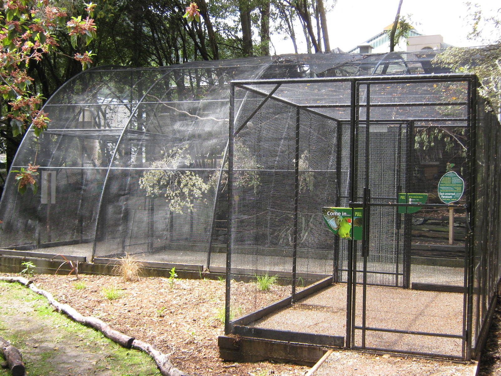 walk-through aviary