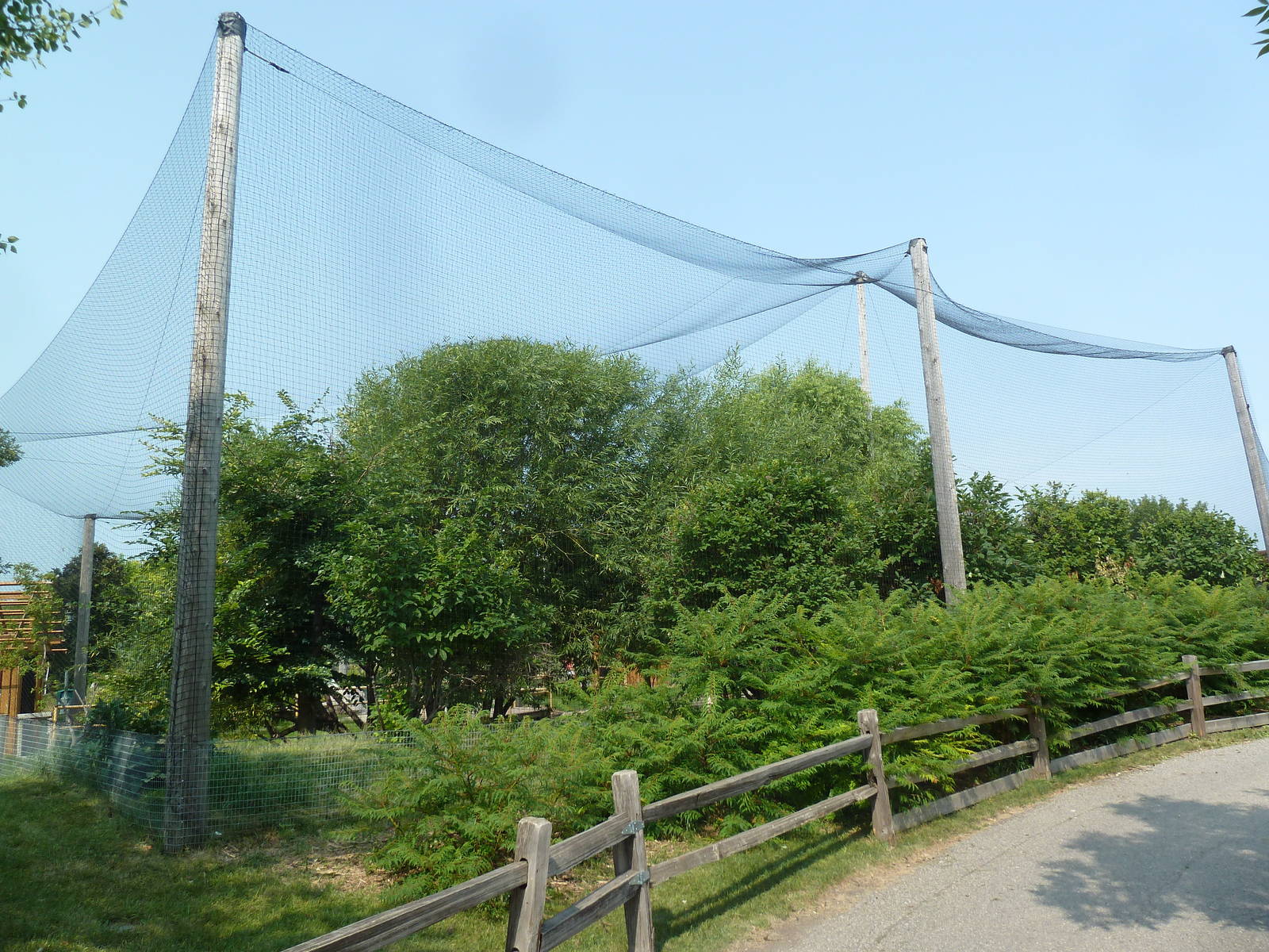 Walk-Through Aviary