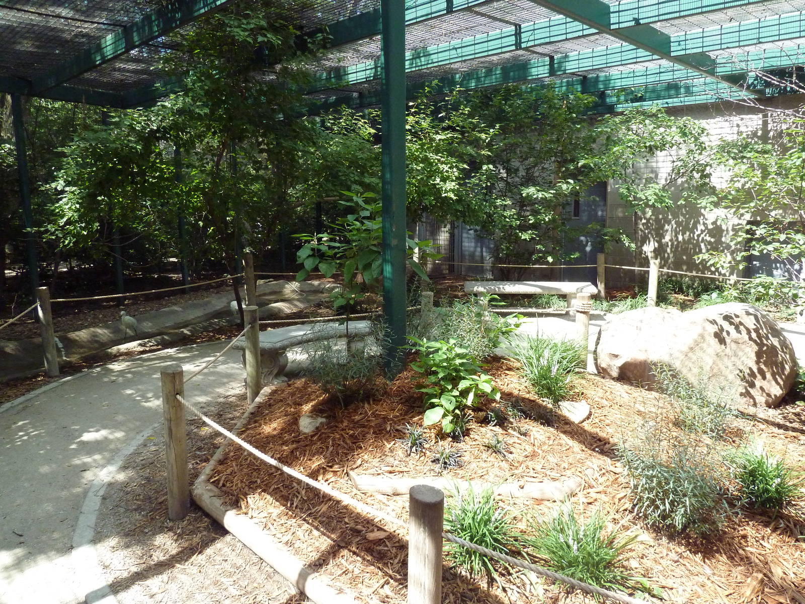 Walk-Through Aviary