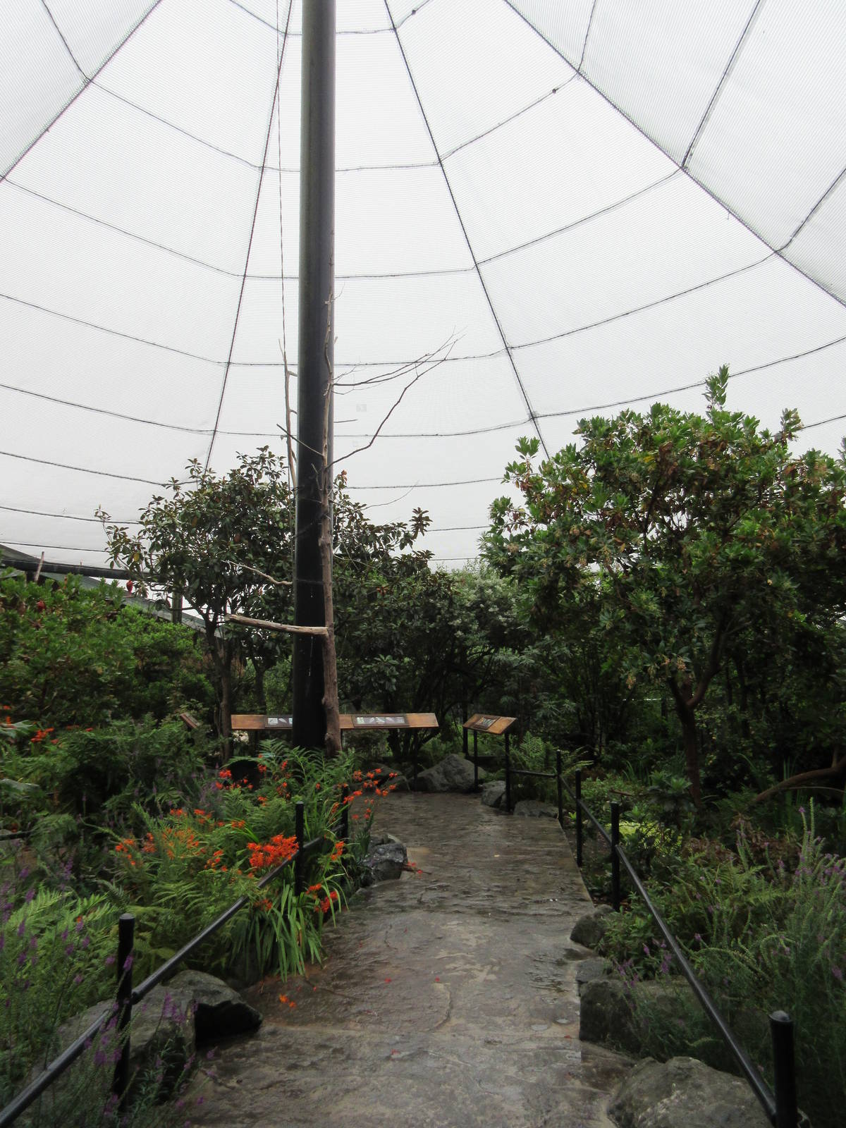 Walk-Through Aviary