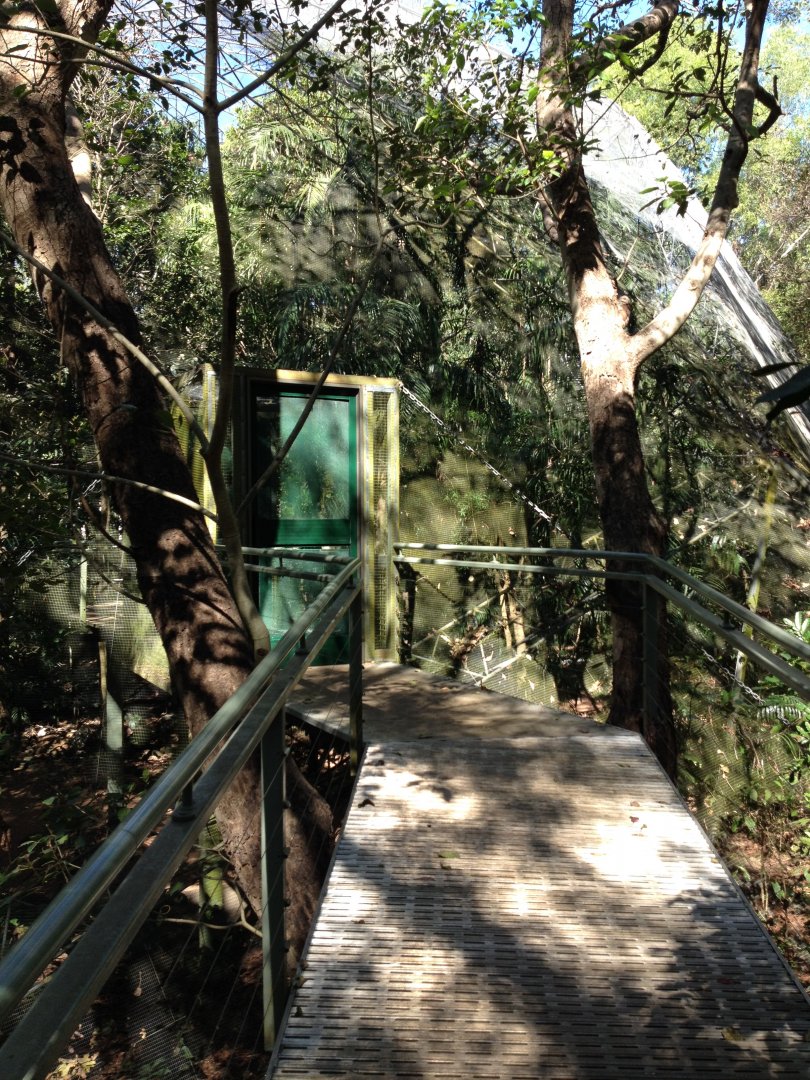 Walk-through Aviary
