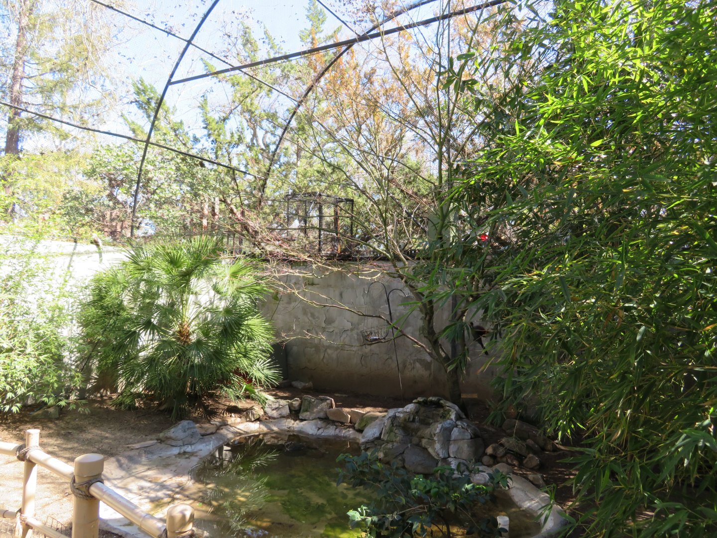 Walk-through Aviary