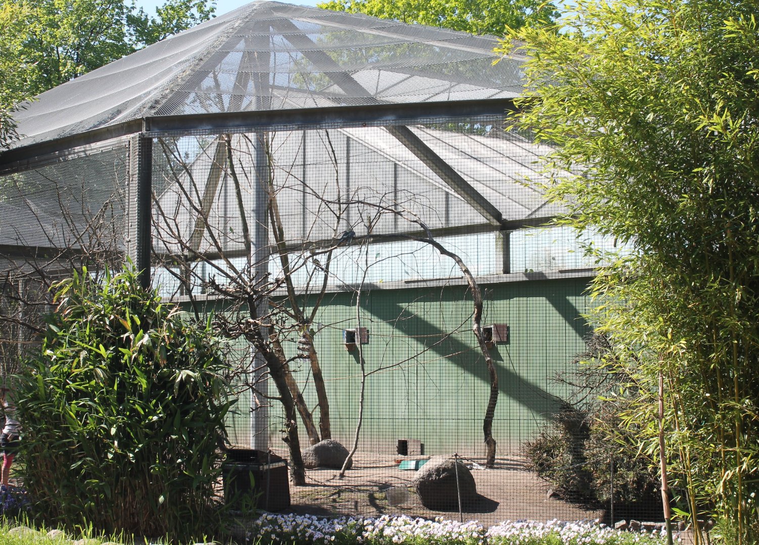 Walk-through aviary