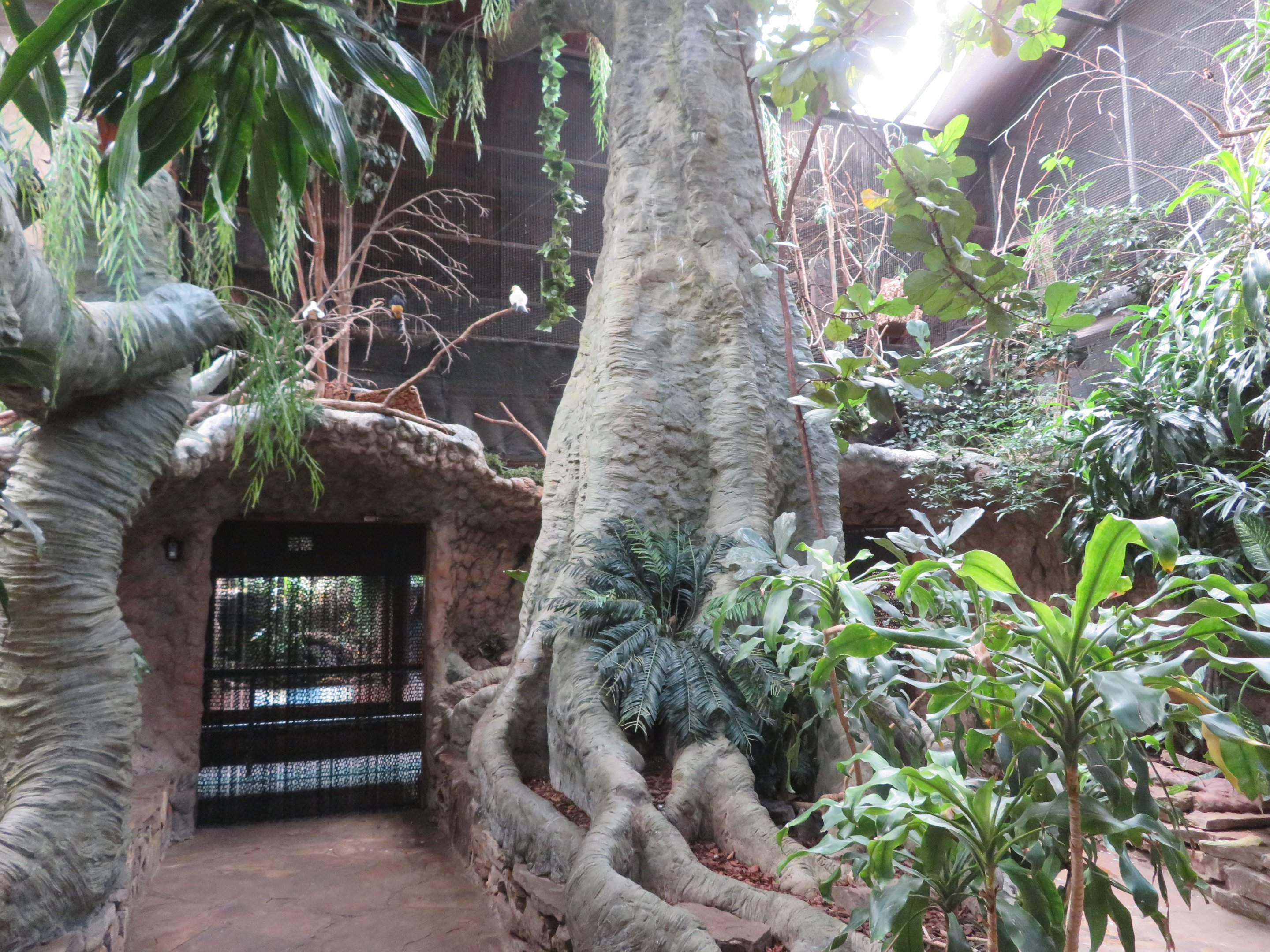 Walk-through Aviary