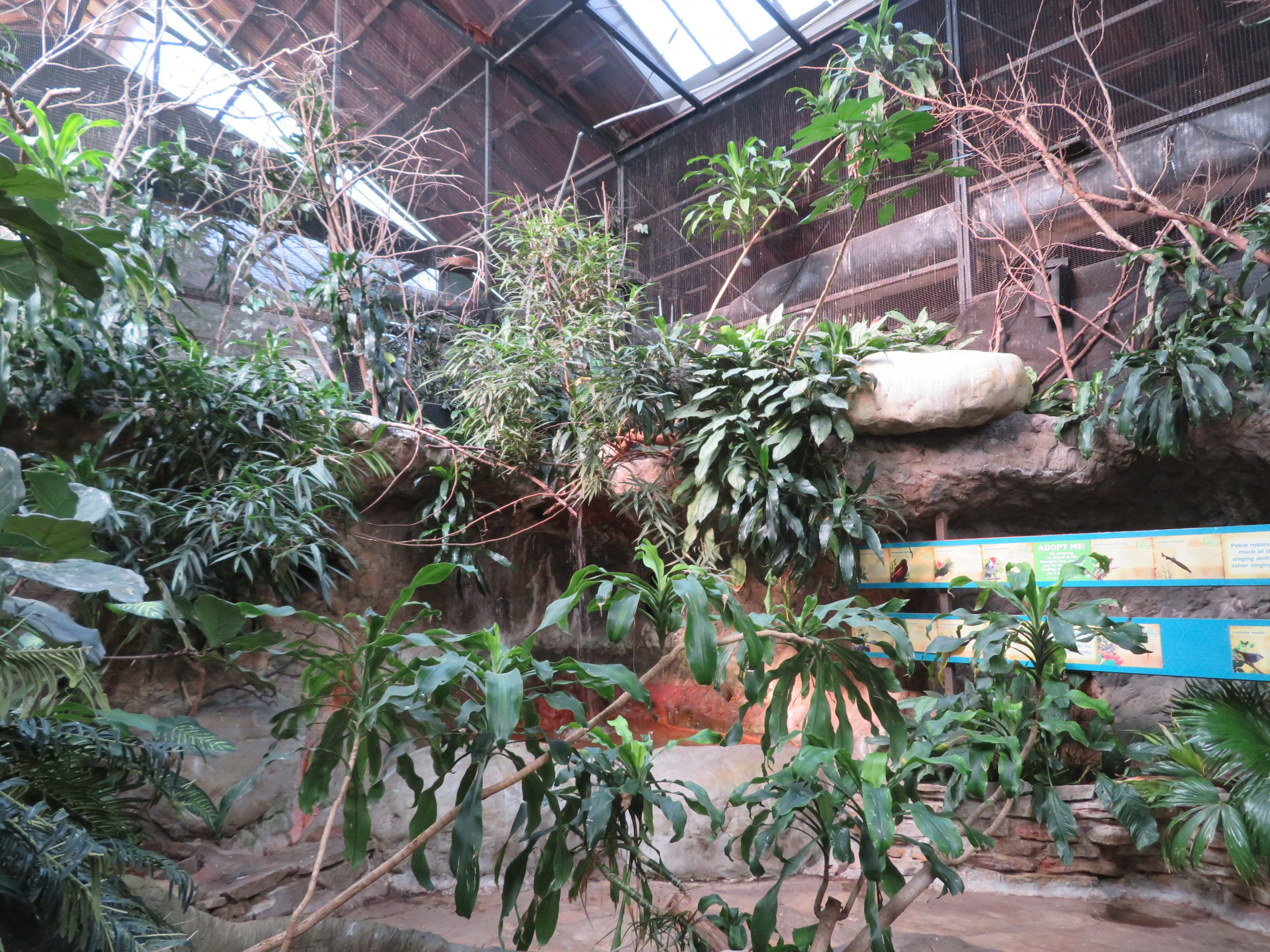 Walk-through Aviary