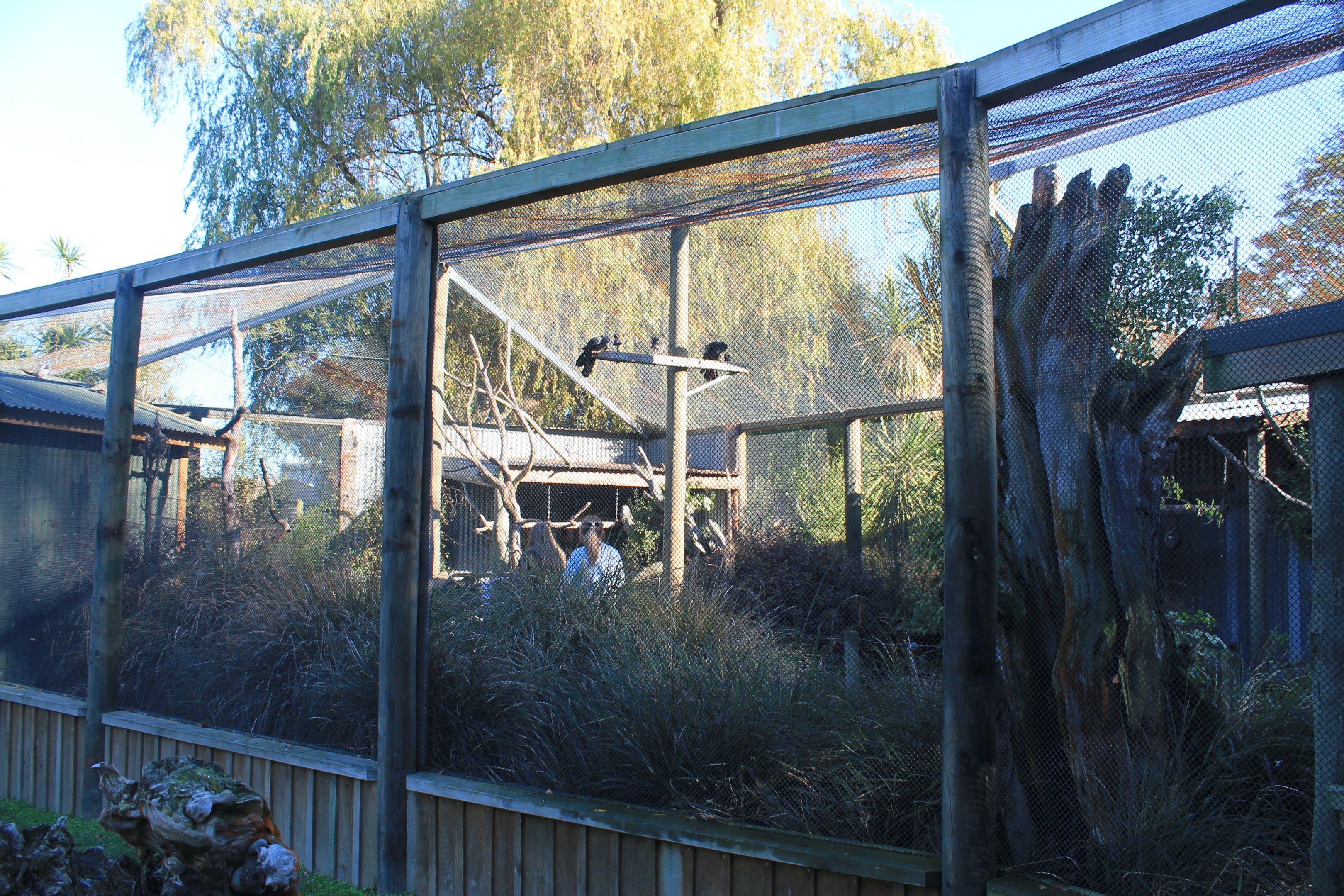 walk-through aviary