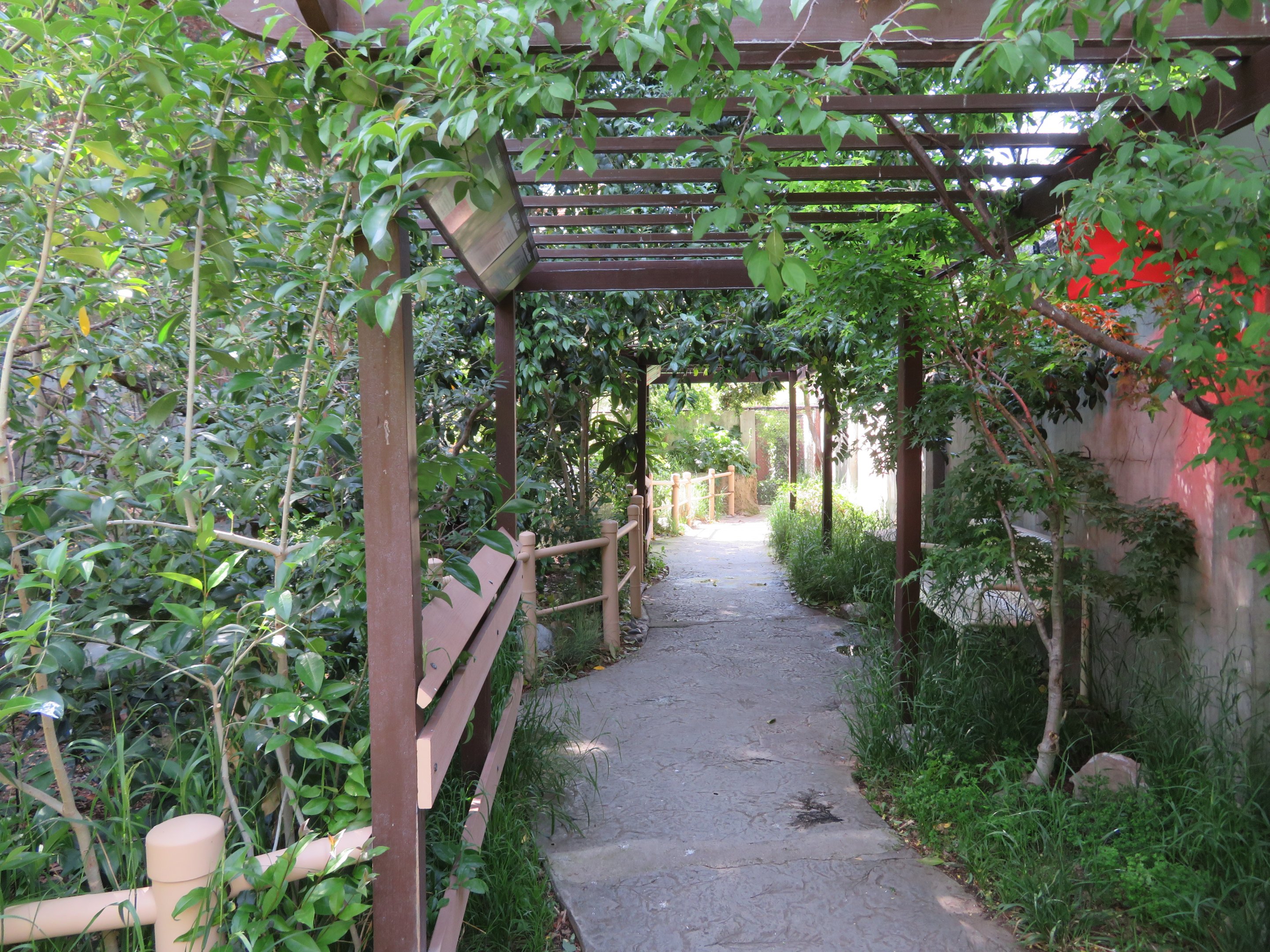 Walk-through Aviary