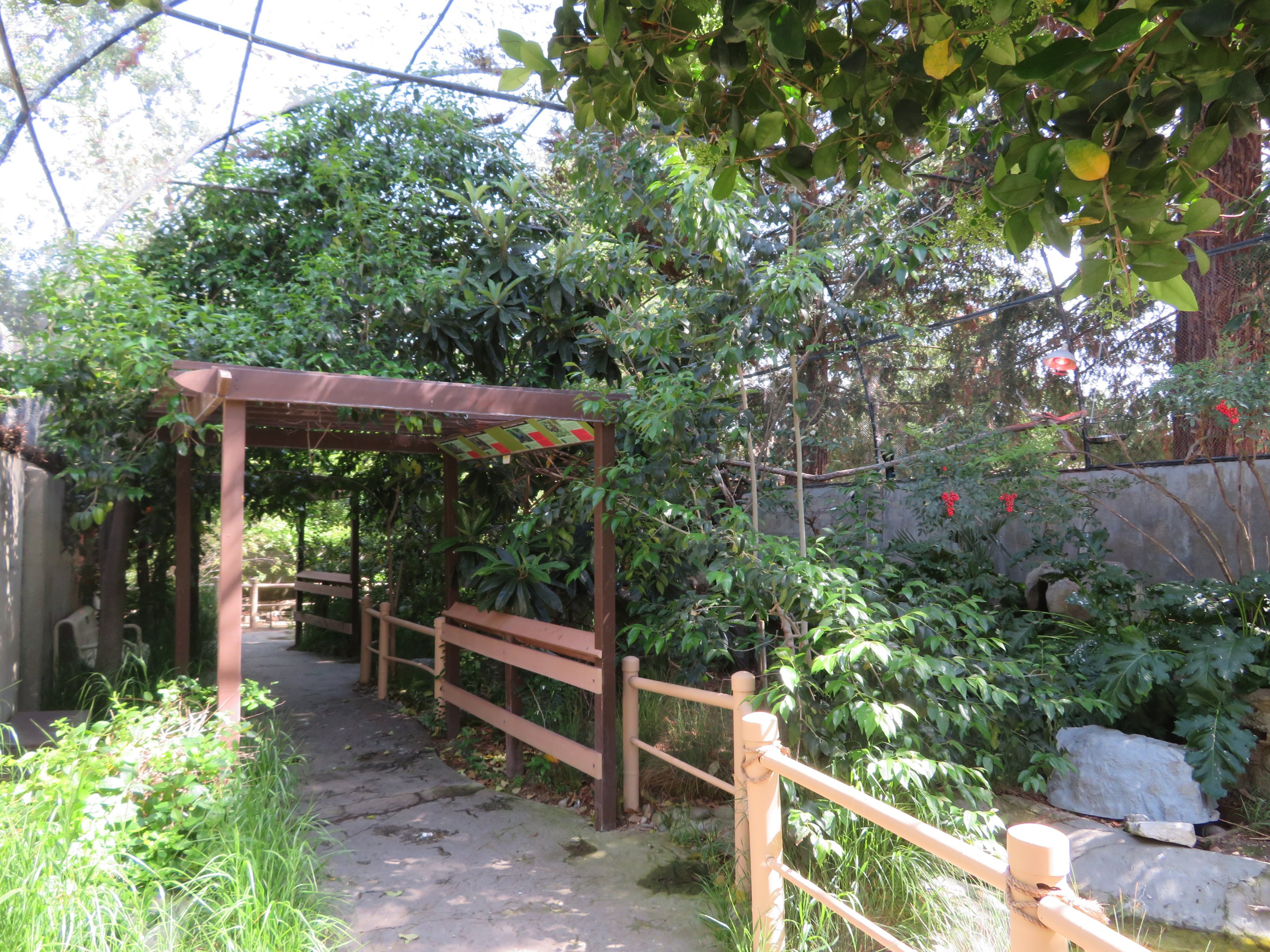 Walk-through Aviary