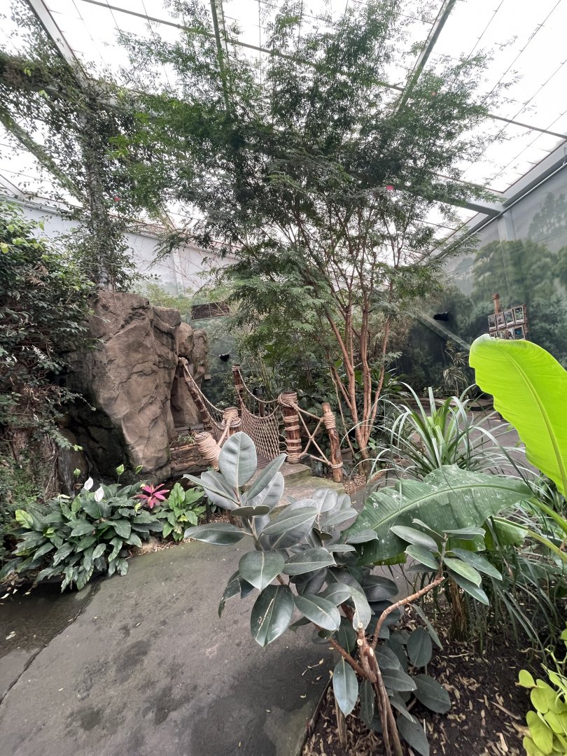 Walk-Through Aviary