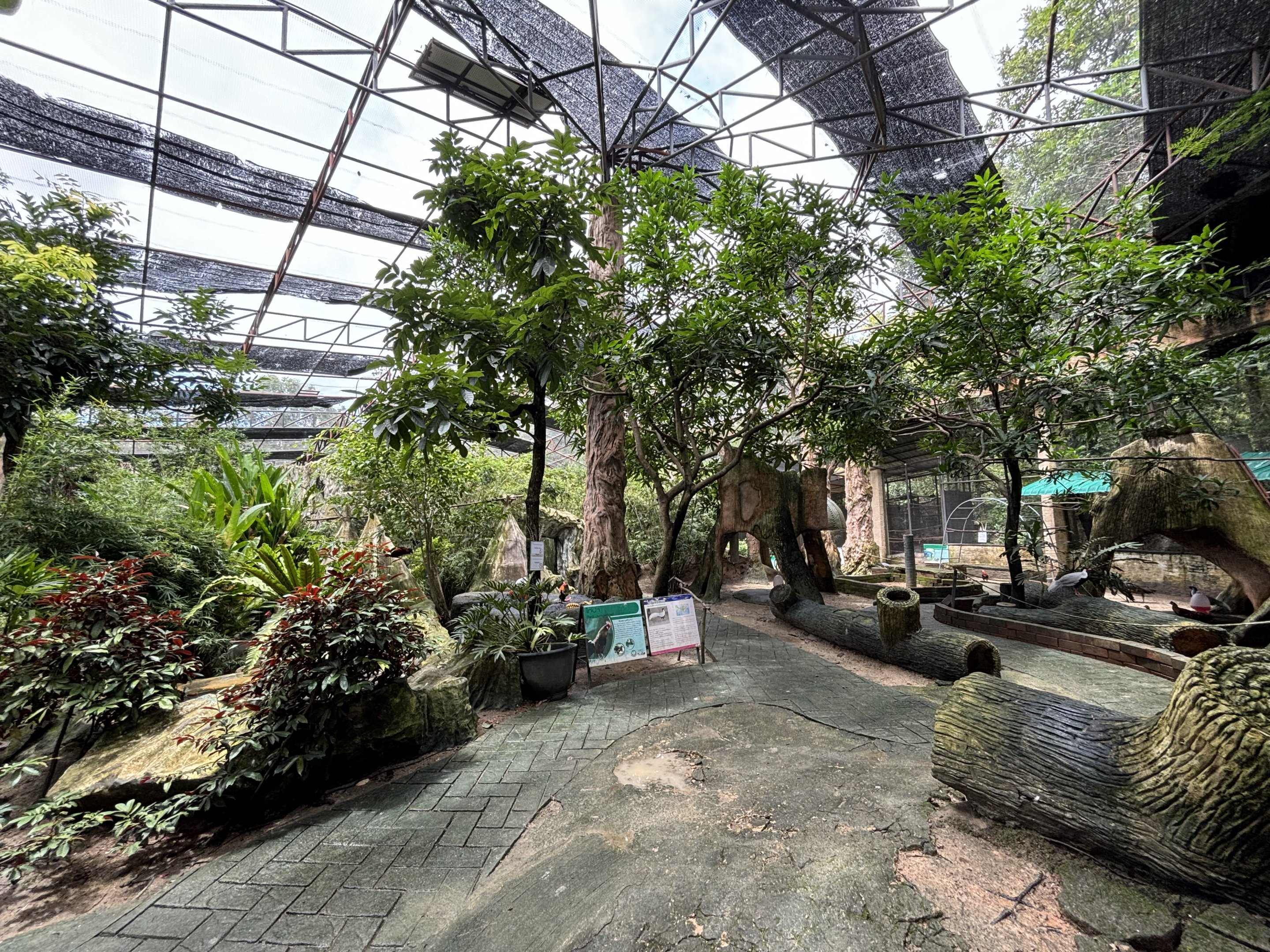 Walk-through Aviary
