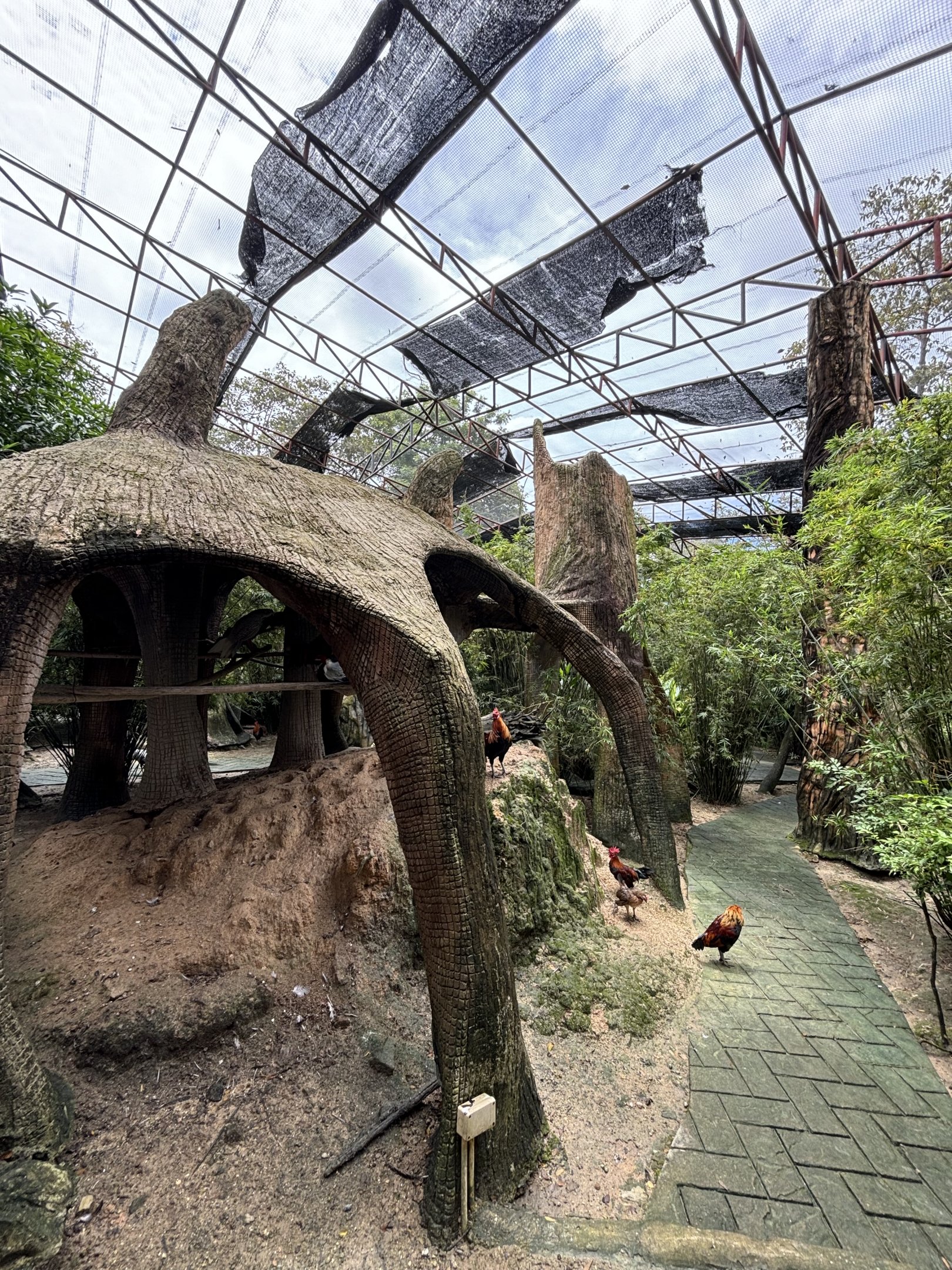 Walk-through Aviary