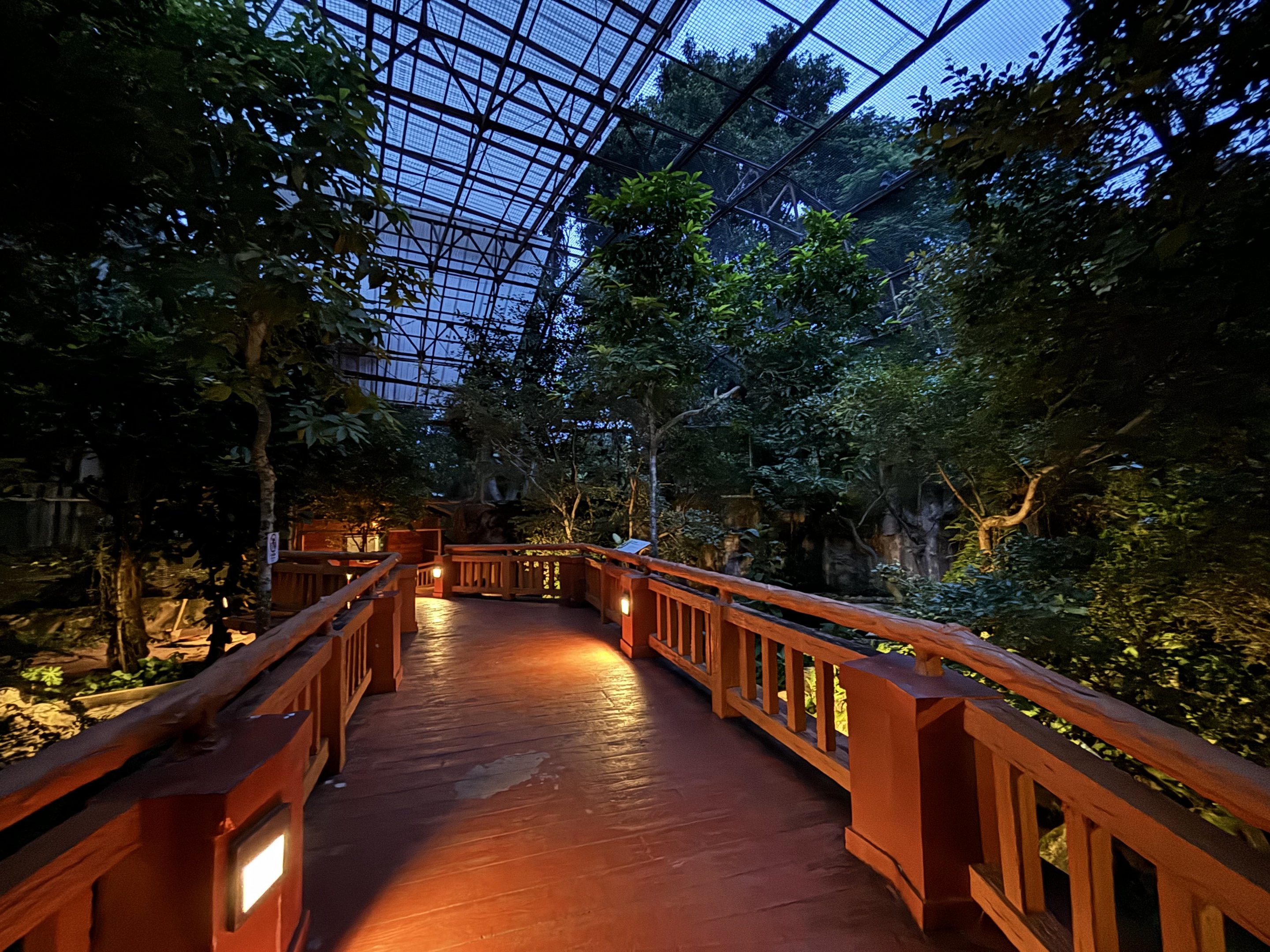 Walk-through Aviary