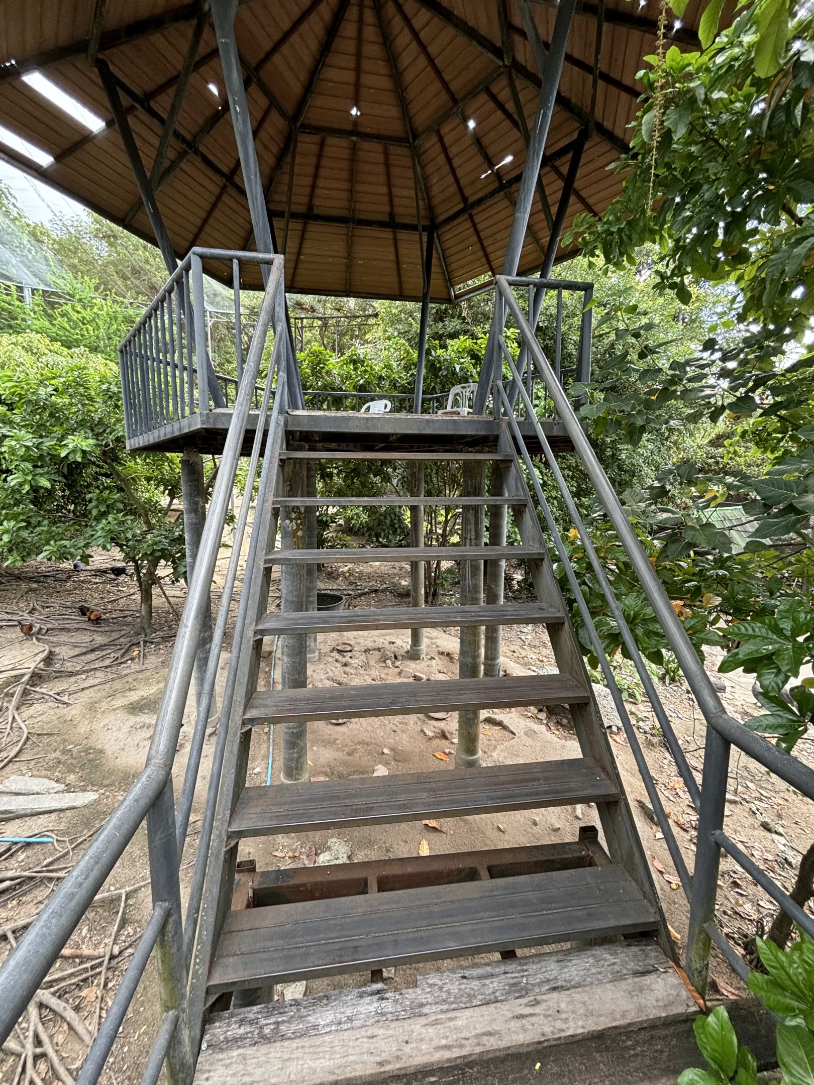 Walk-through Aviary