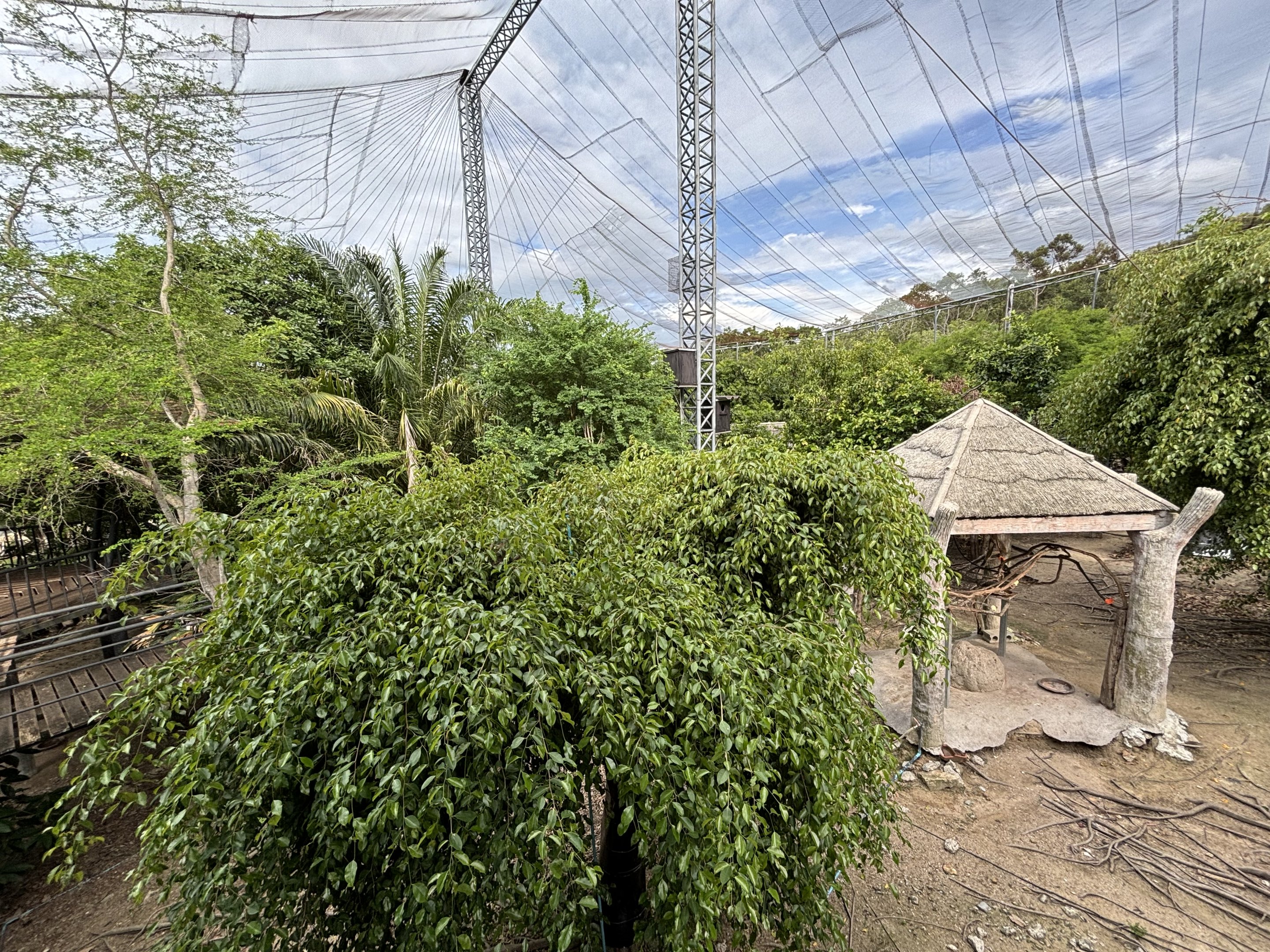 Walk-through Aviary