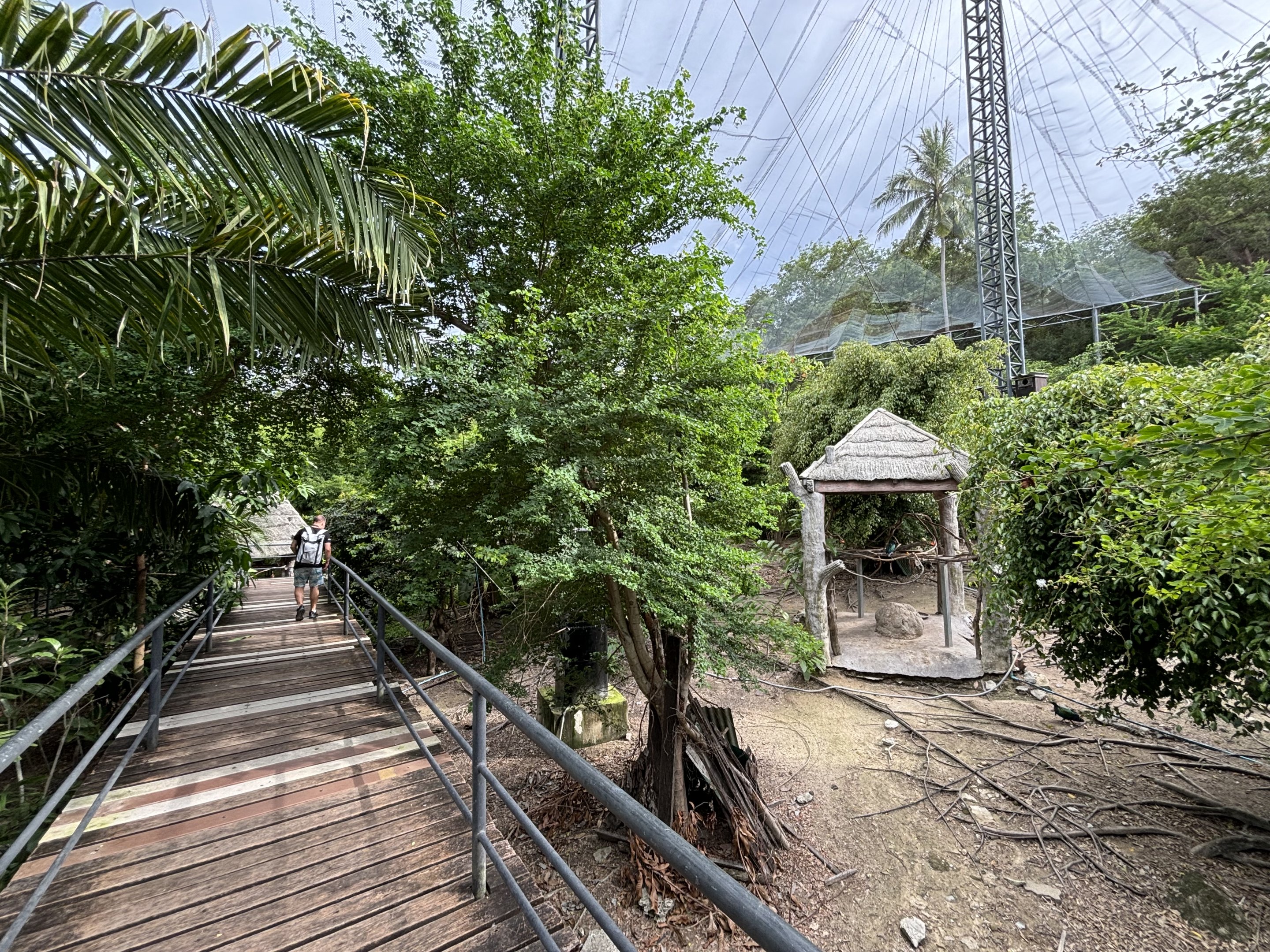 Walk-through Aviary