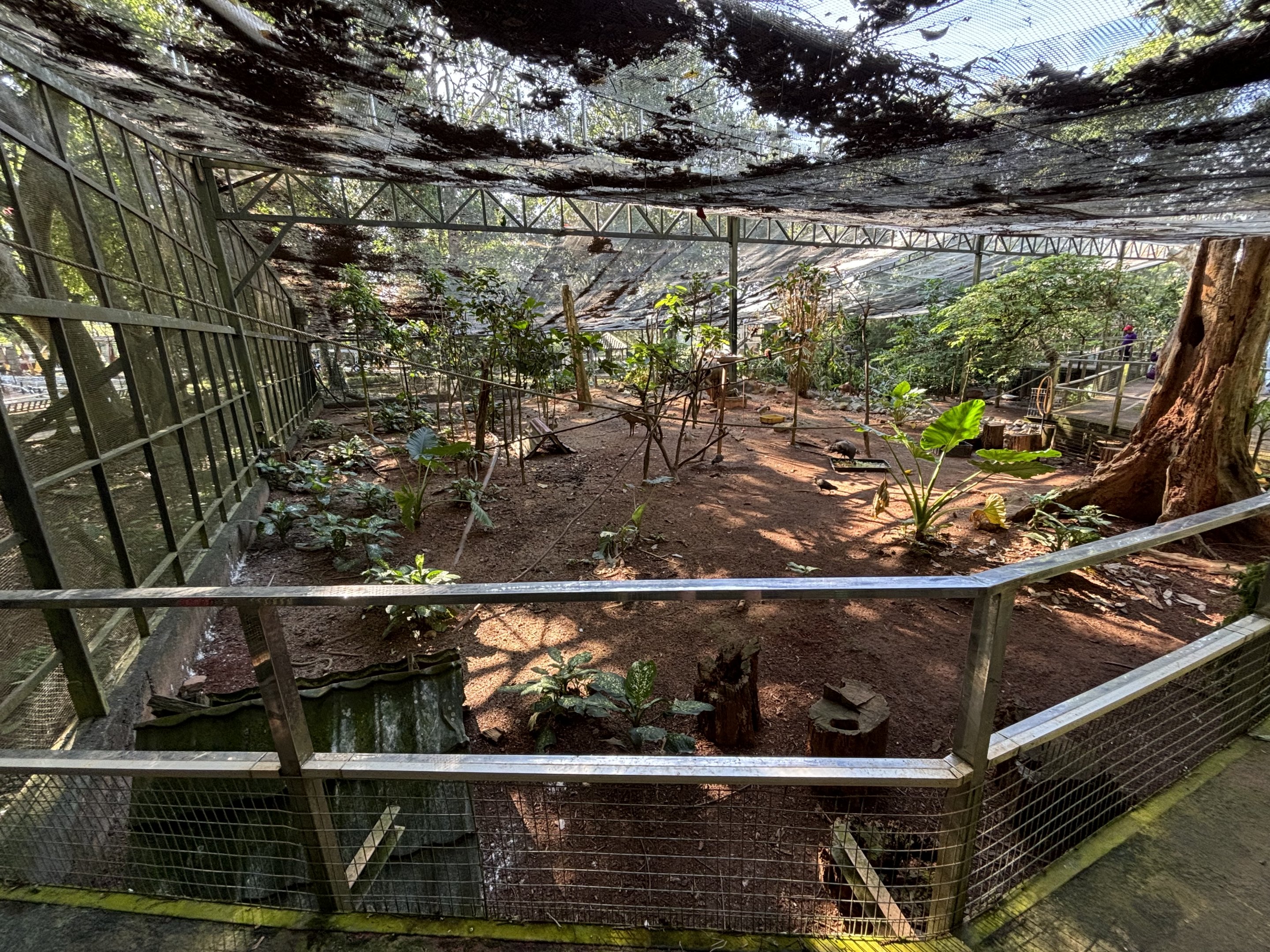 Walk-through Aviary