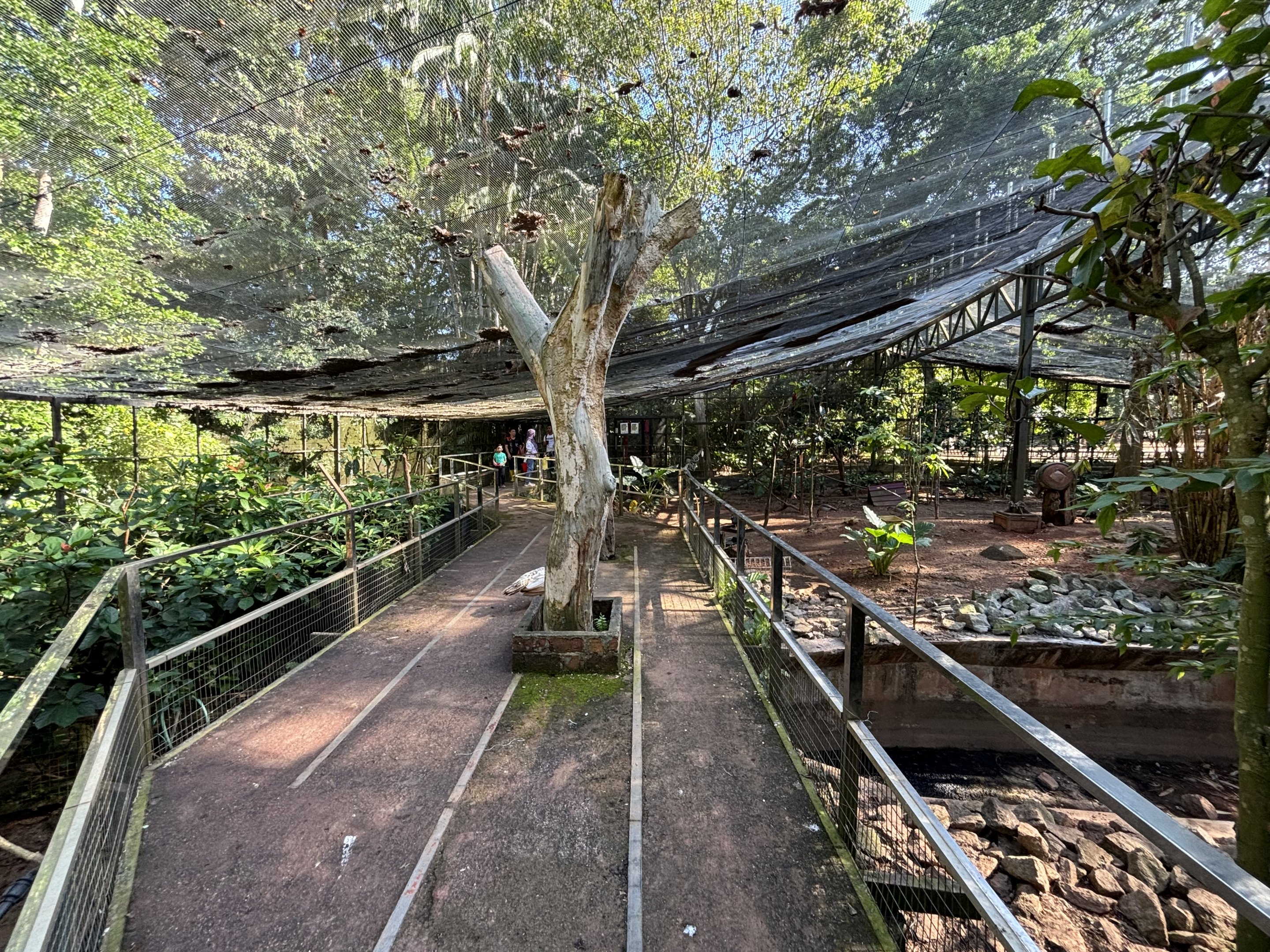 Walk-through Aviary