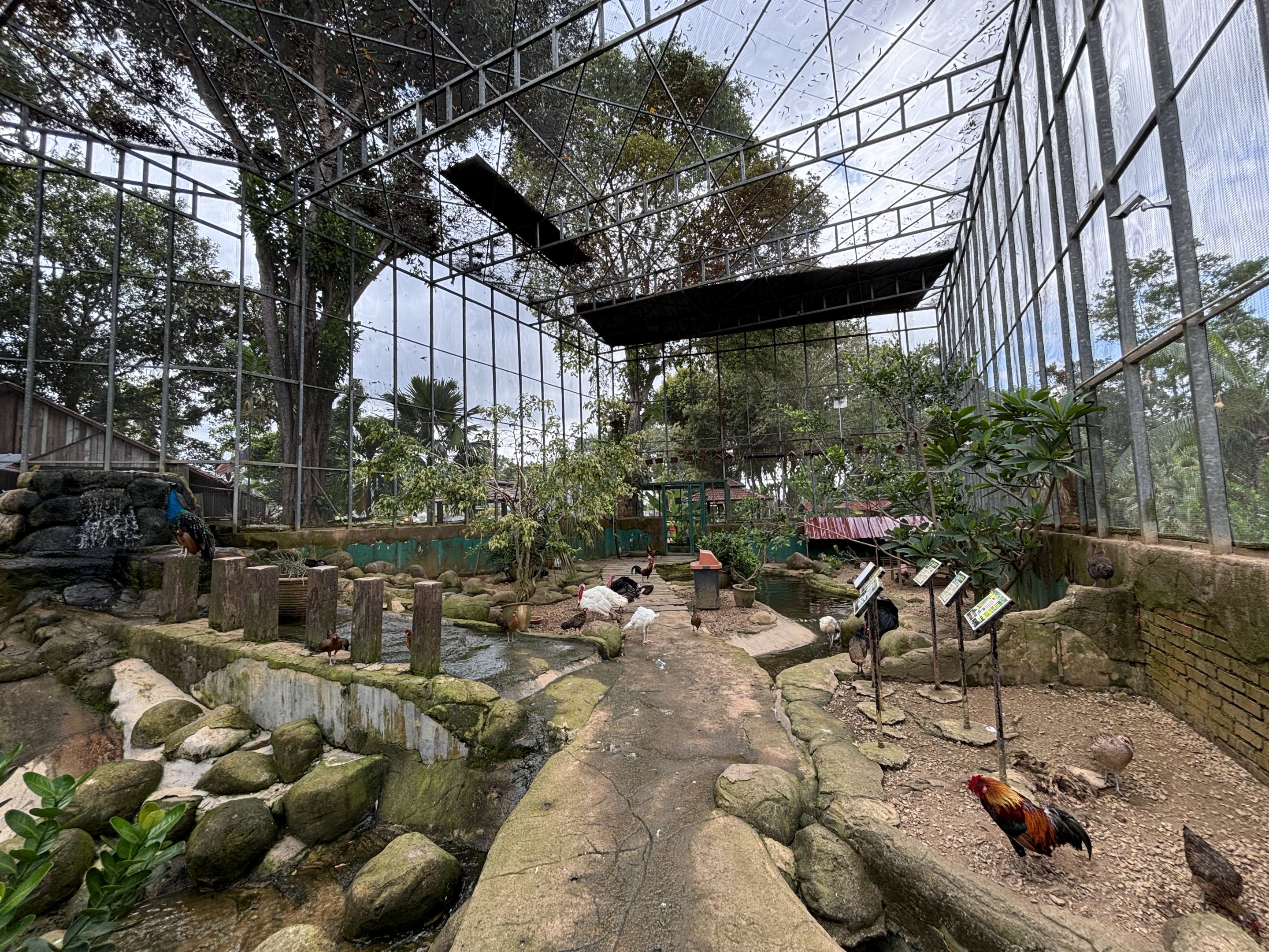 Walk-through Aviary