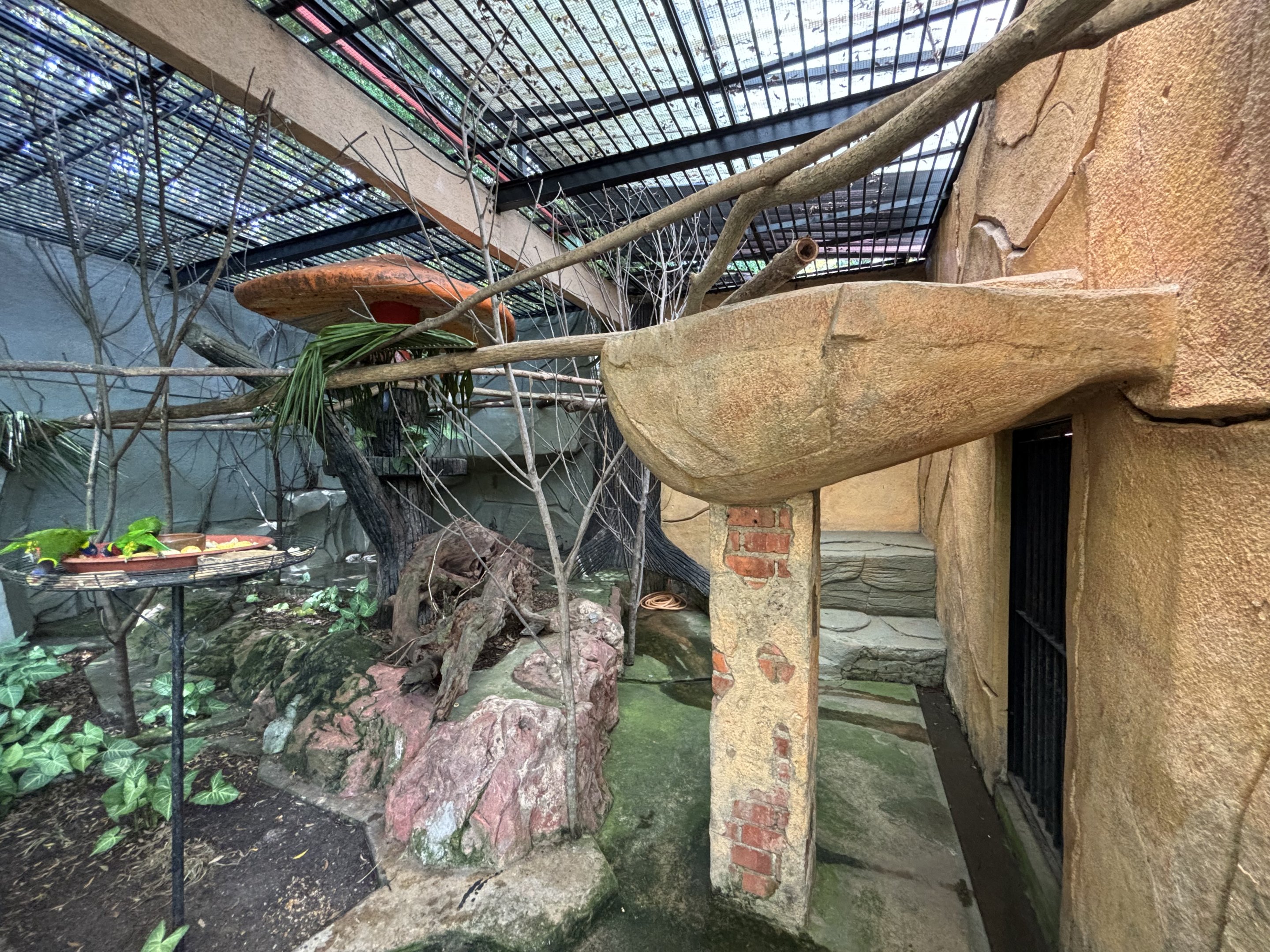 Walk-through Aviary