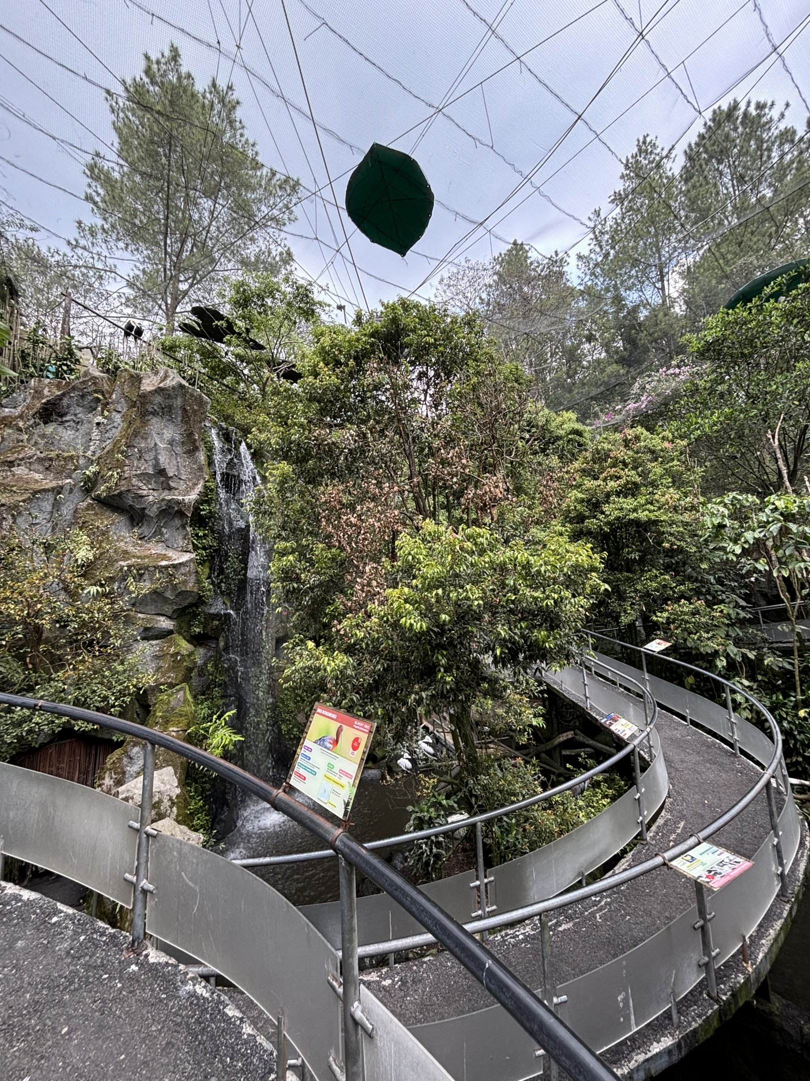 Walk-through Aviary