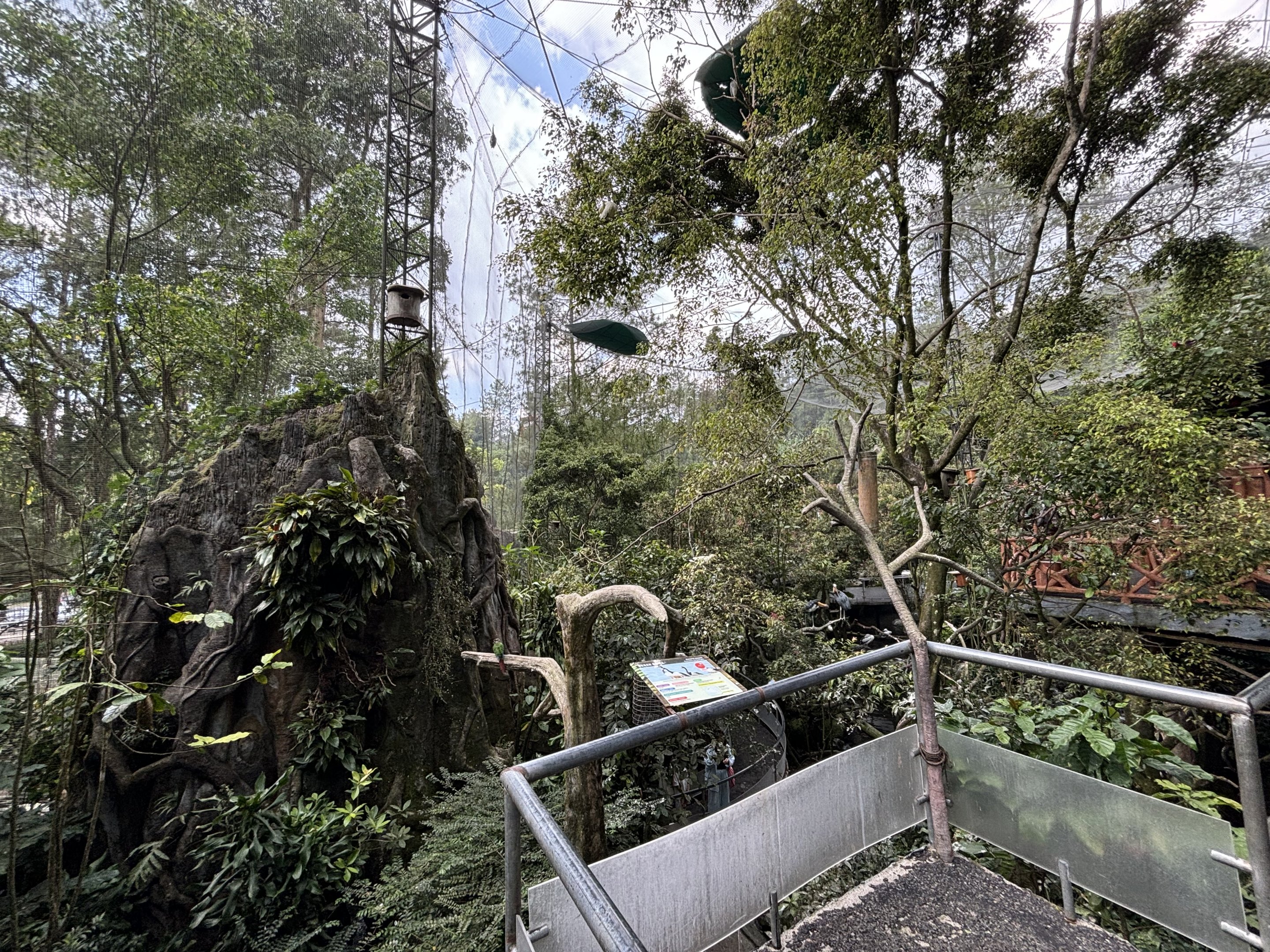 Walk-through Aviary