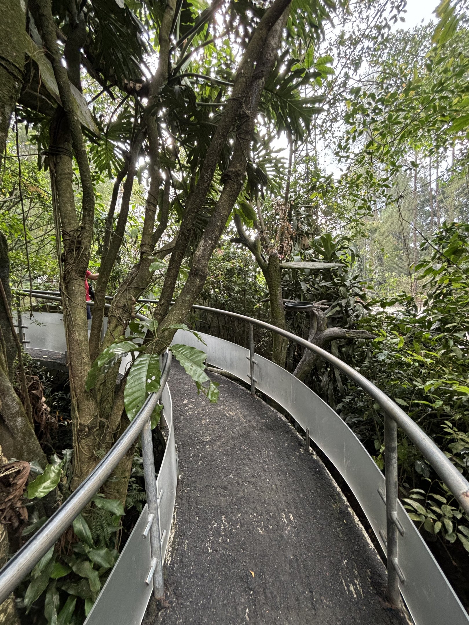 Walk-through Aviary