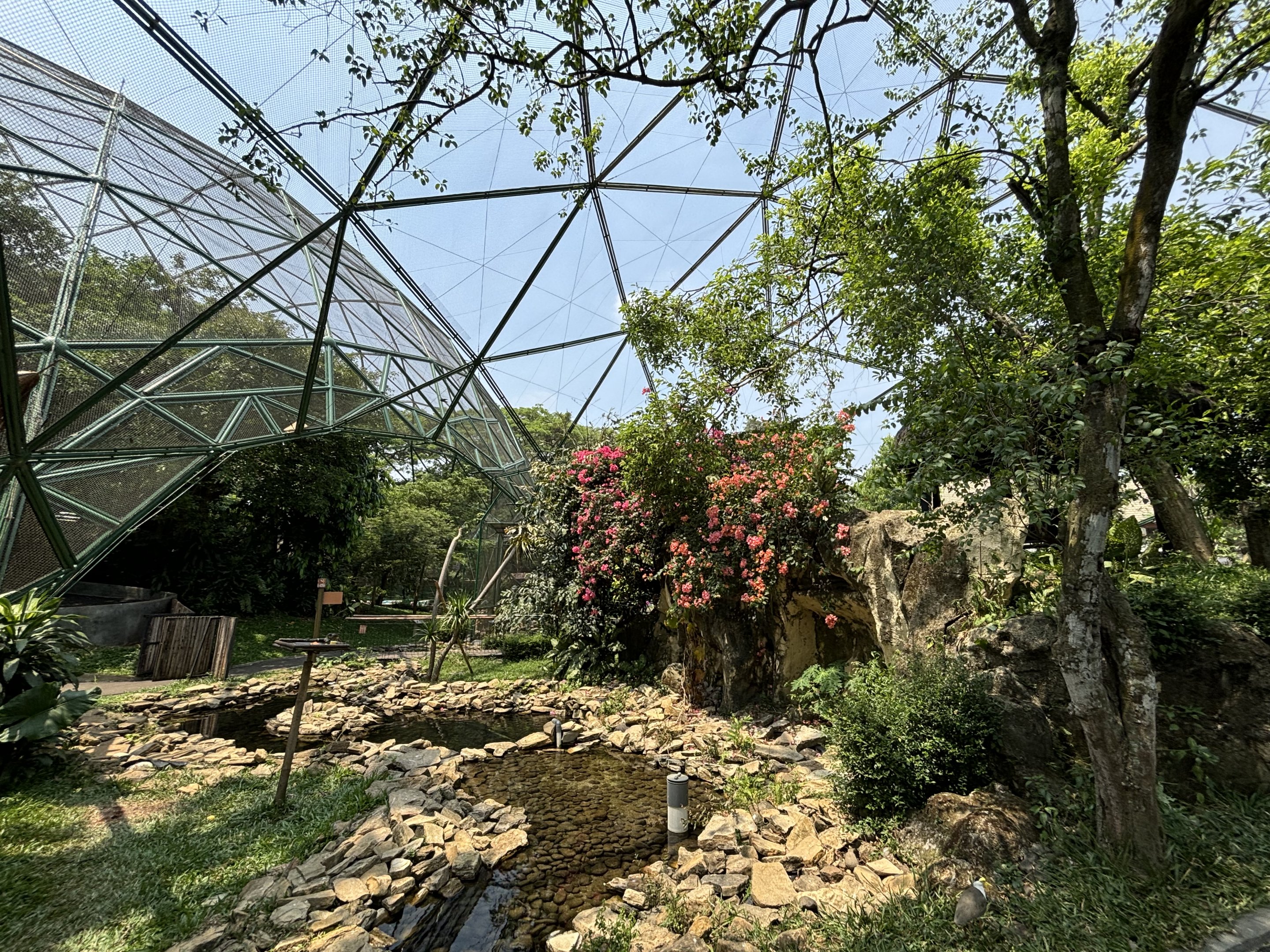 Walk-through Aviary