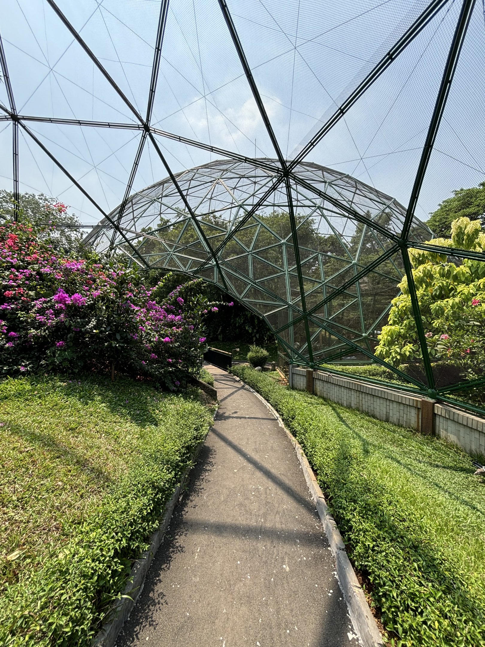 Walk-through Aviary