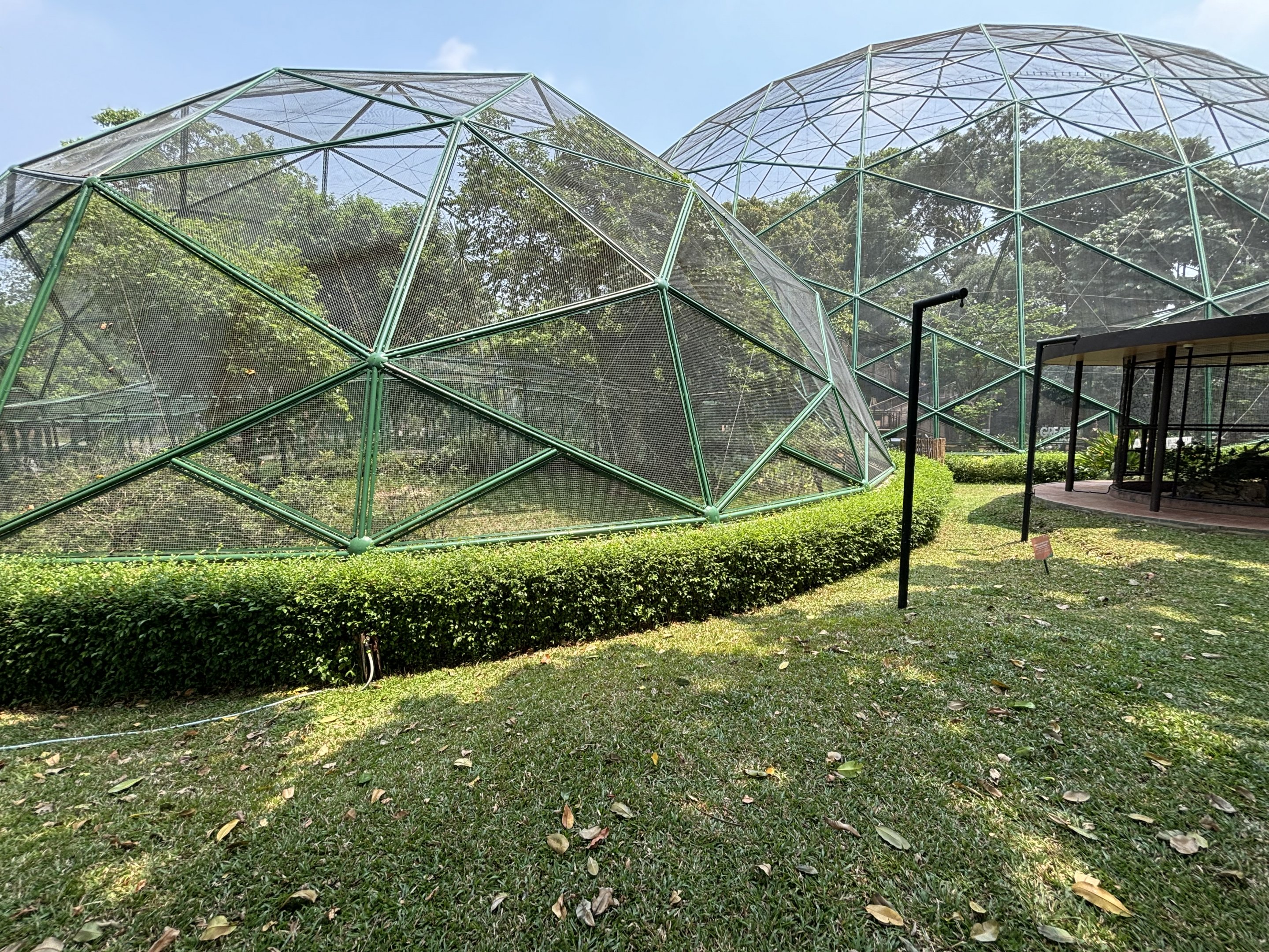Walk-through Aviary