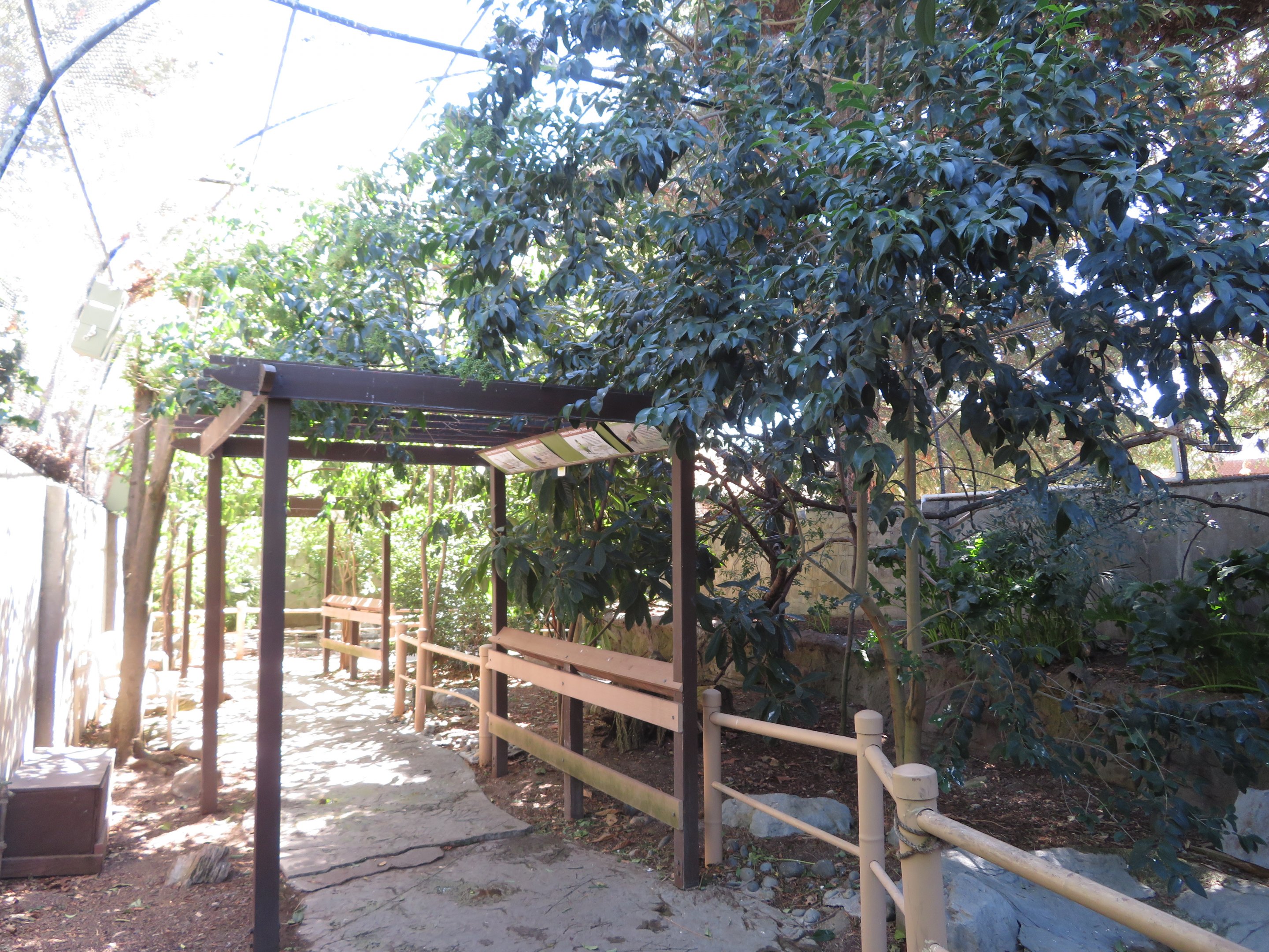 Walk-through Aviary
