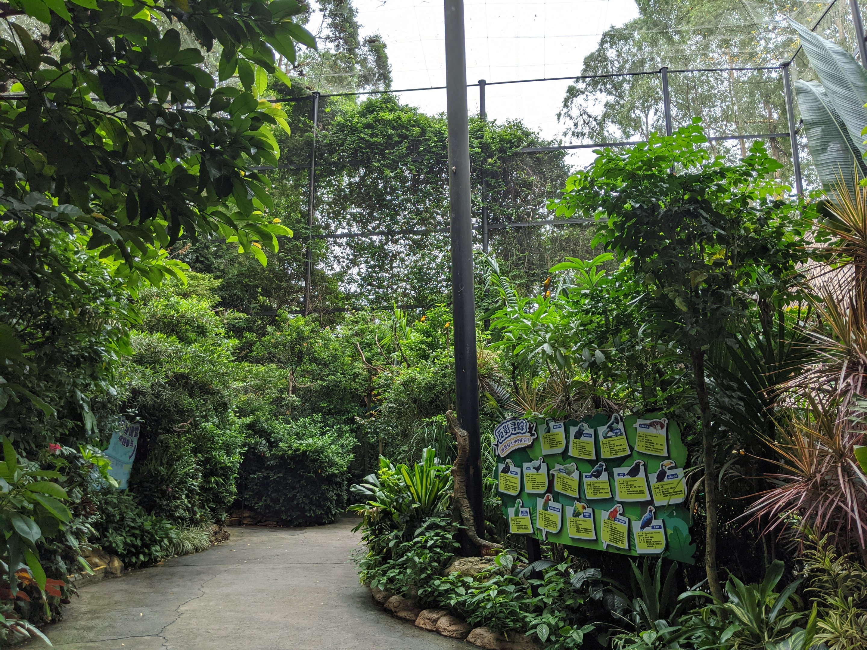 Walk-through aviary