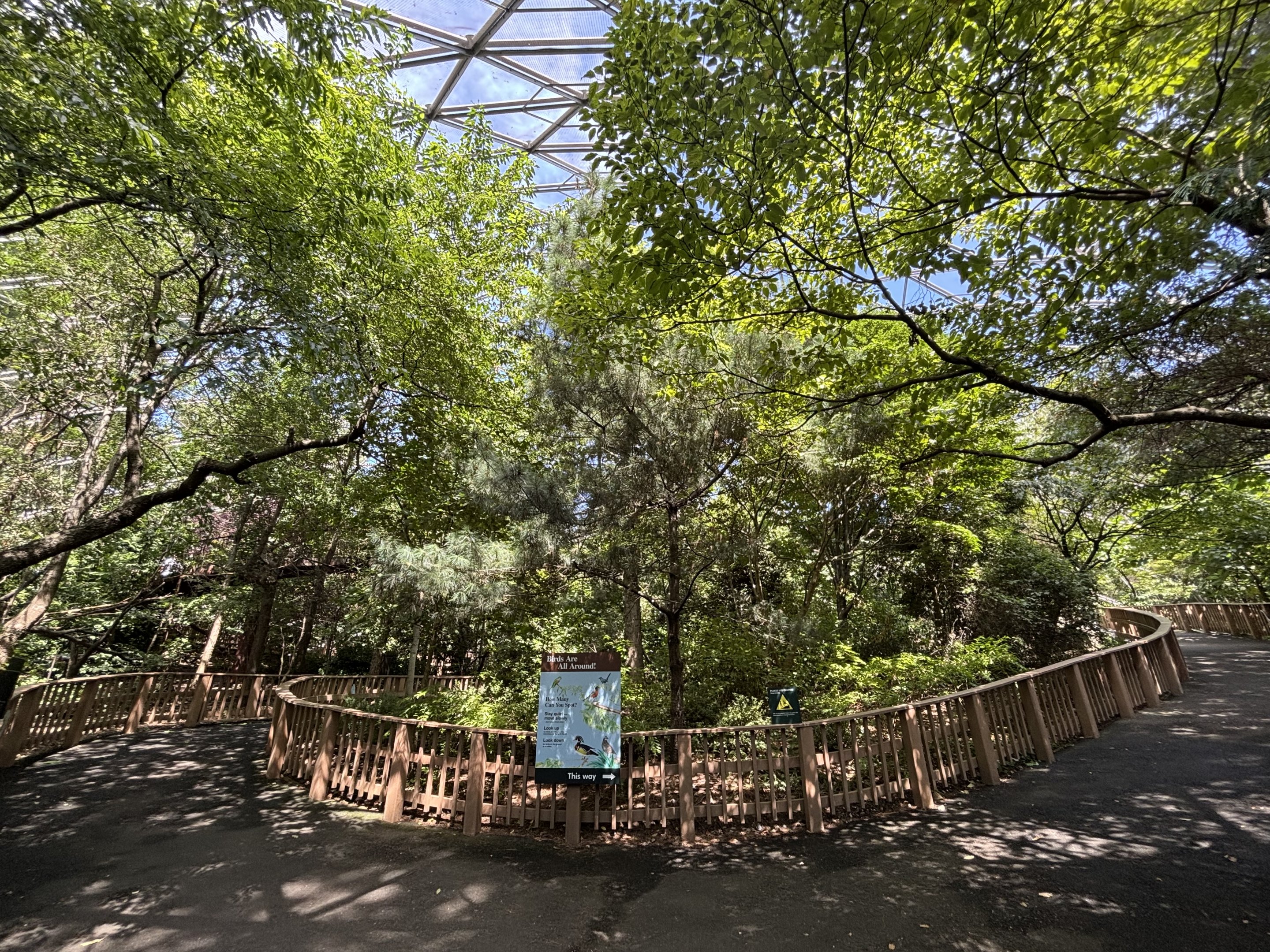 Walk-through Aviary