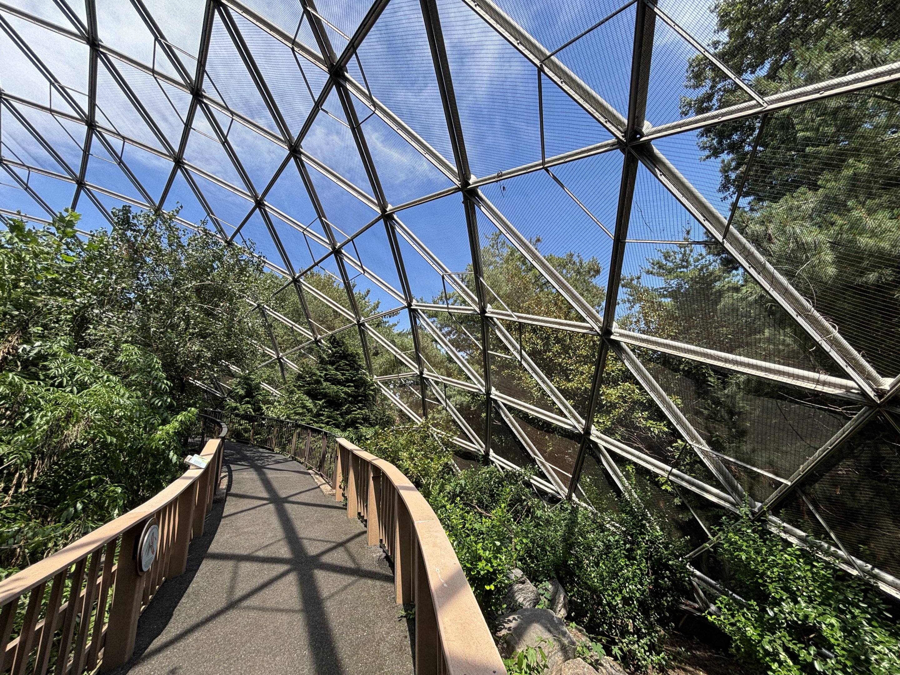 Walk-through Aviary