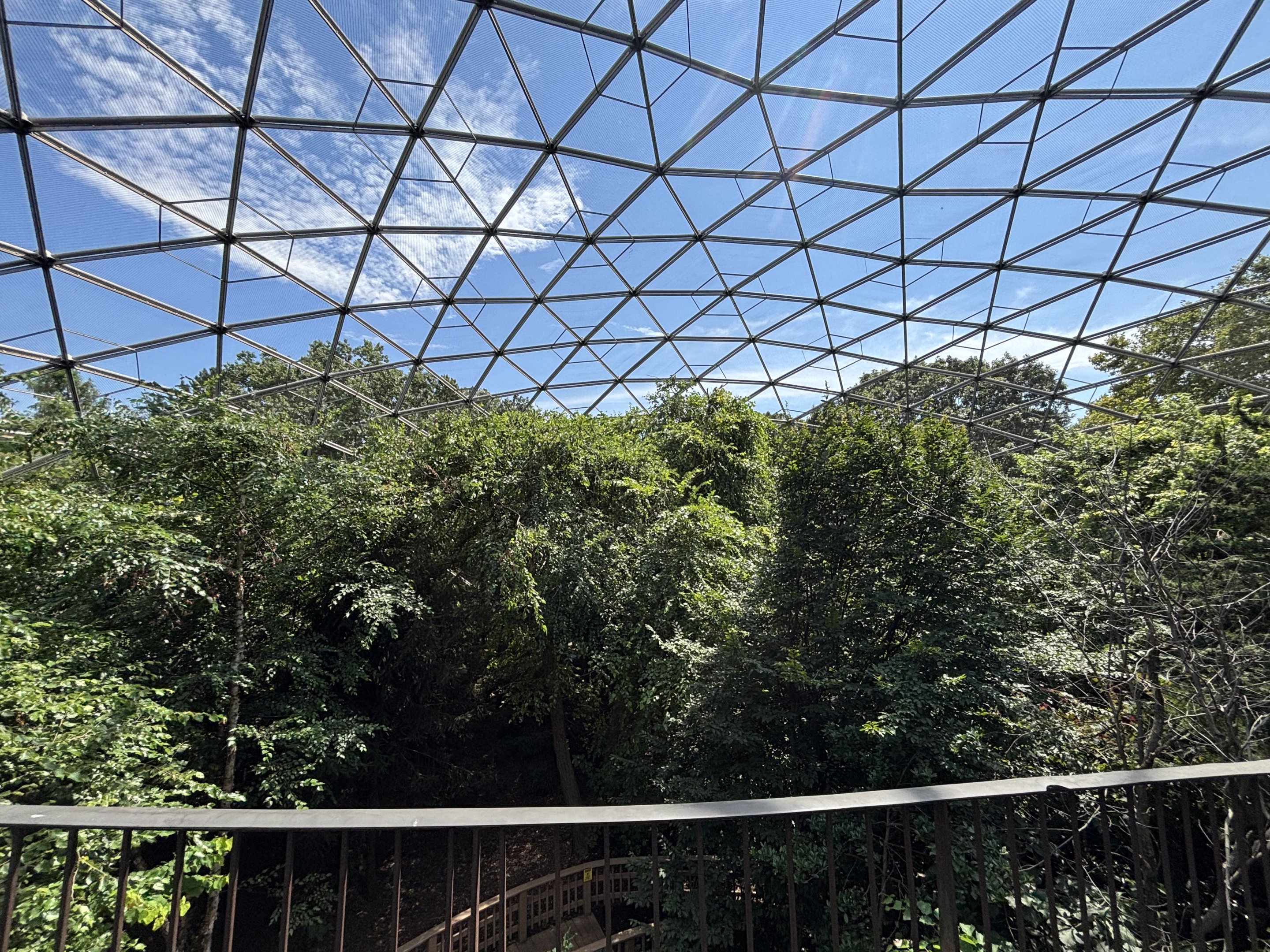Walk-through Aviary