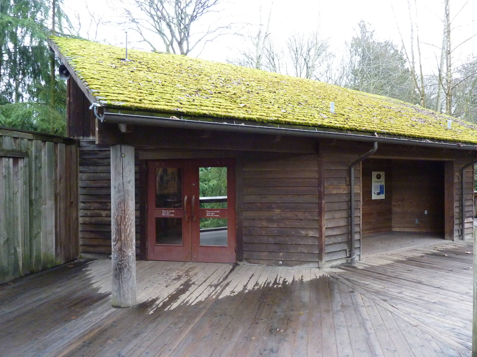 Walk-Through Bald Eagle Aviary