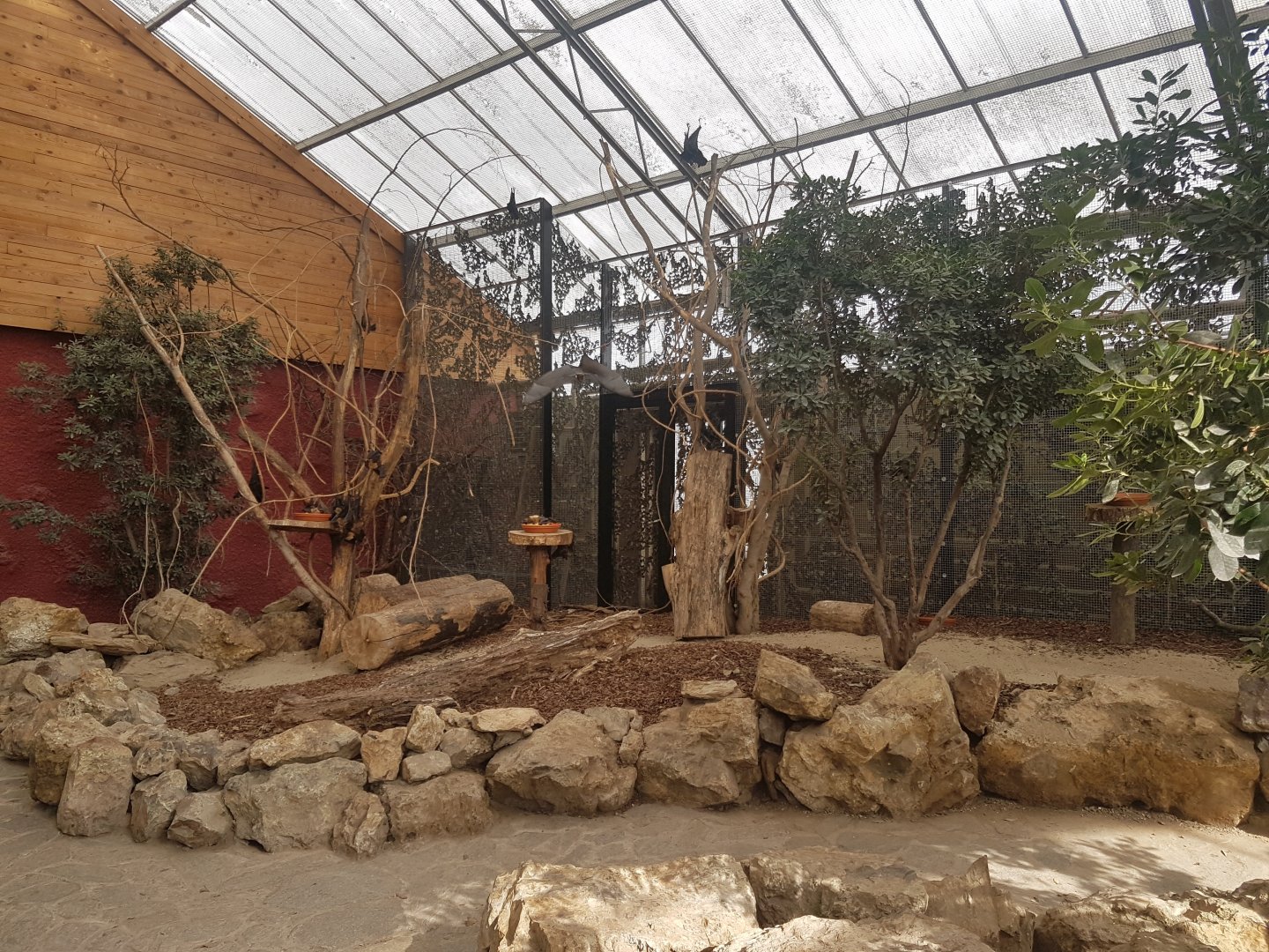 Walk-through bat and squirrel-enclosure