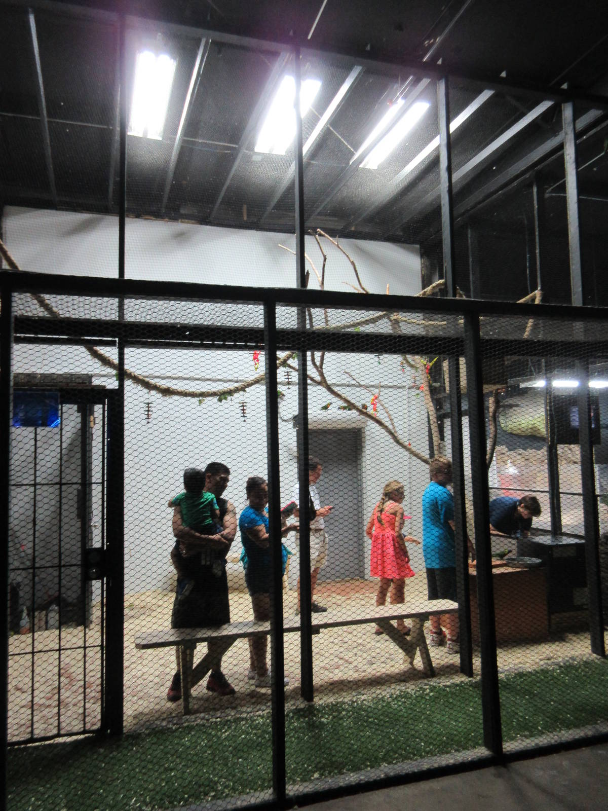 Walk-Through Bird Exhibit #1