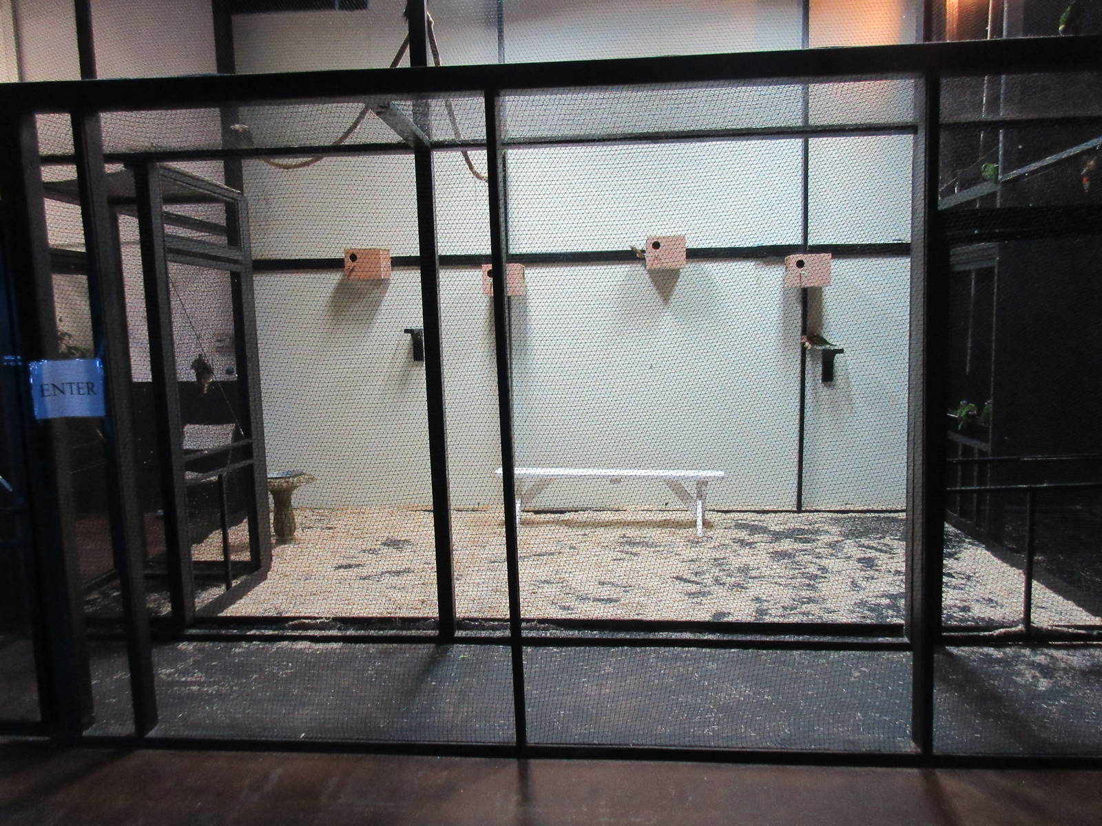 Walk-Through Bird Exhibit #1