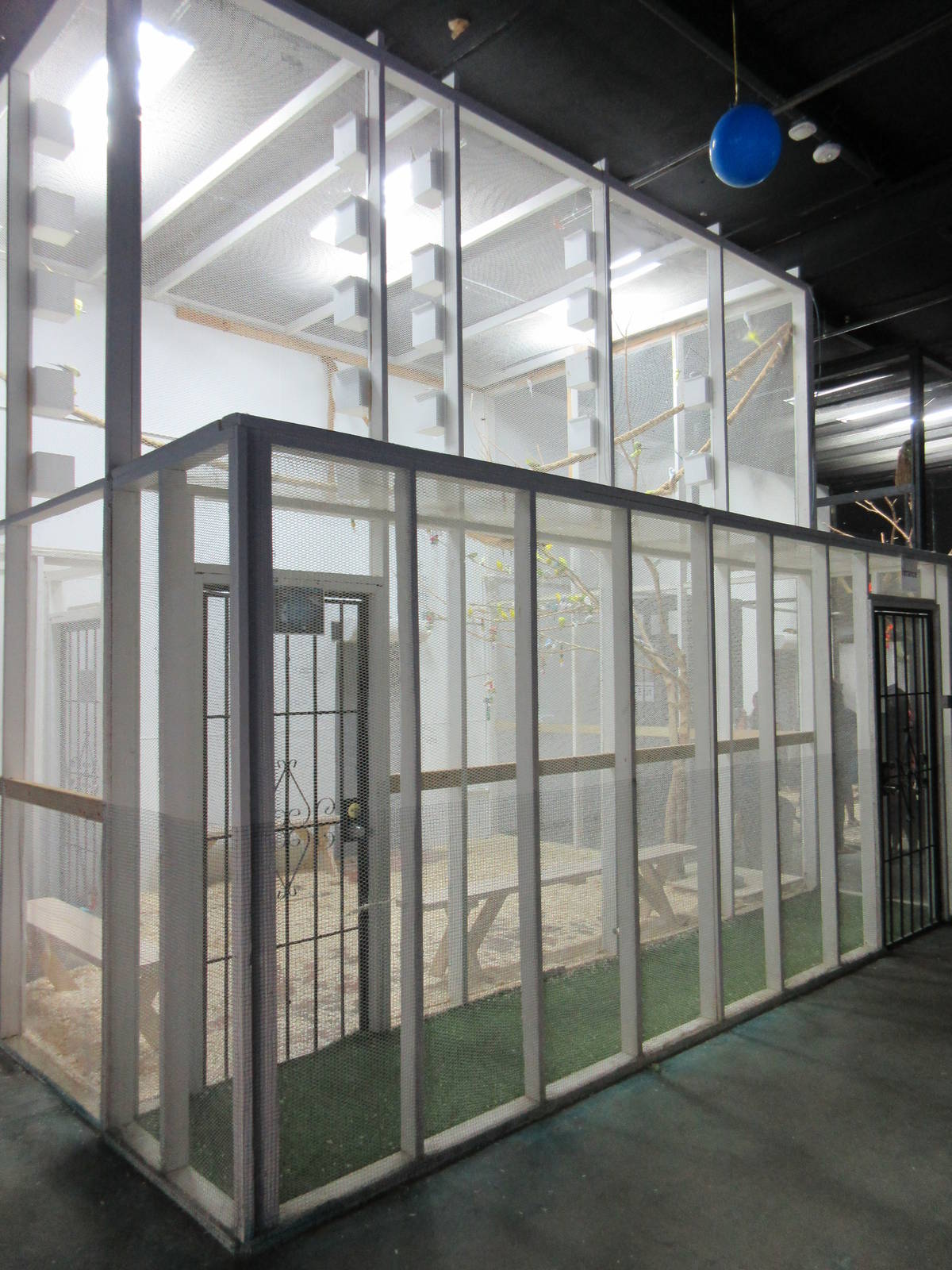 Walk-Through Bird Exhibit #2