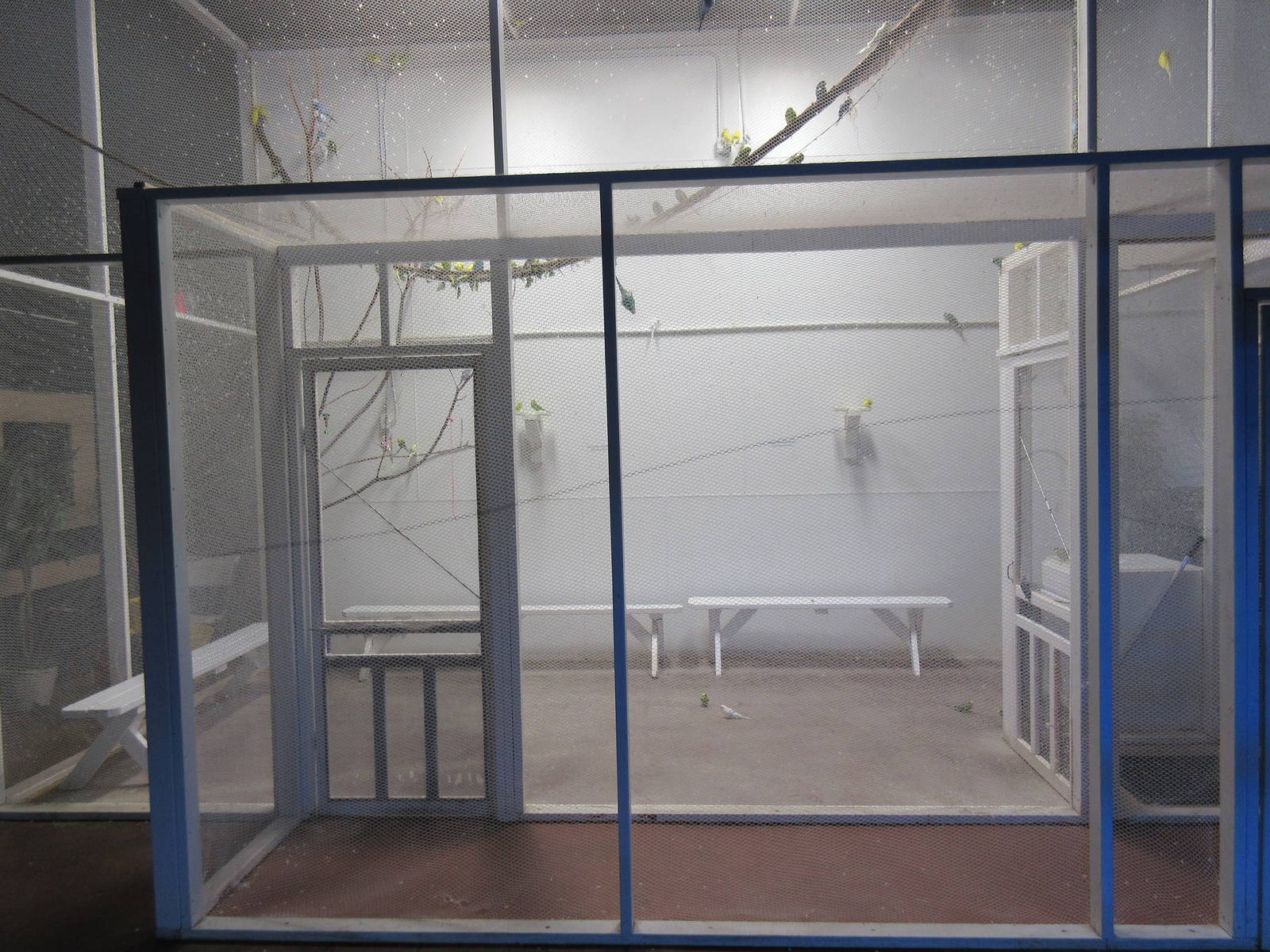 Walk-Through Bird Exhibit #2