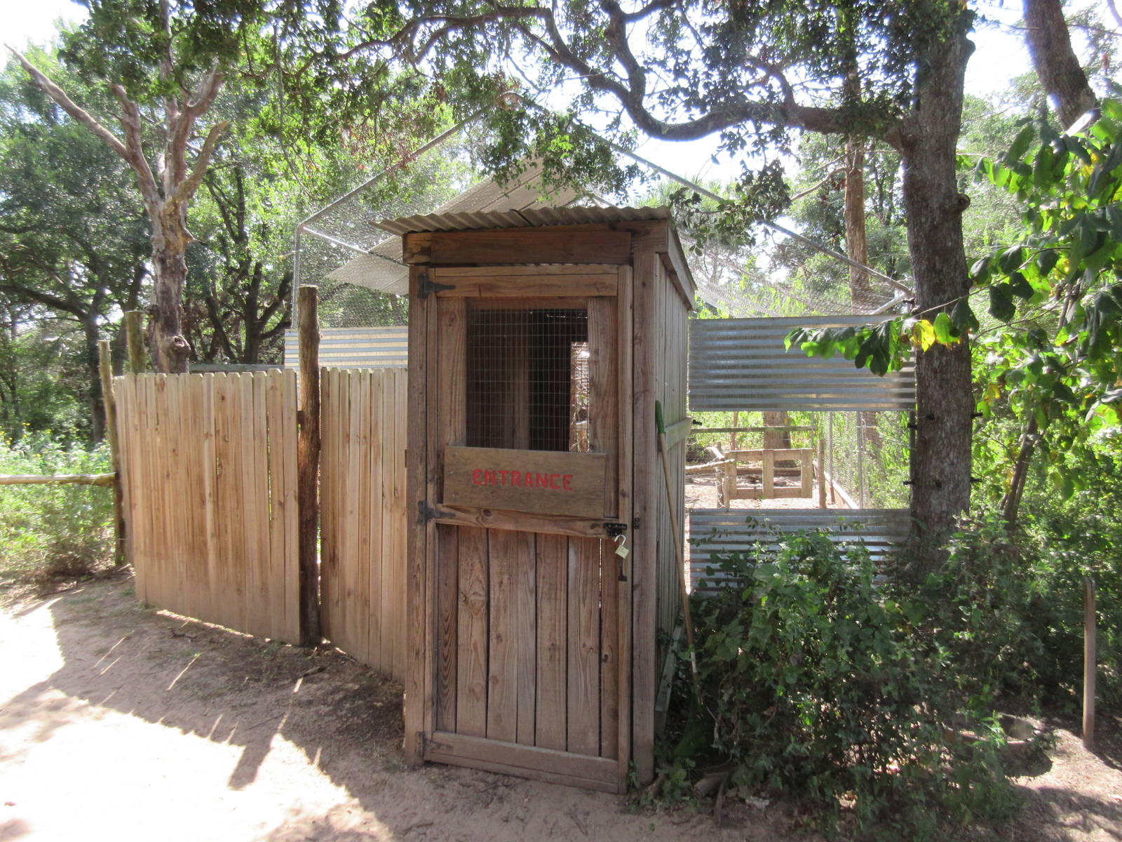 Walk-Through Budgie/Parakeet Aviary