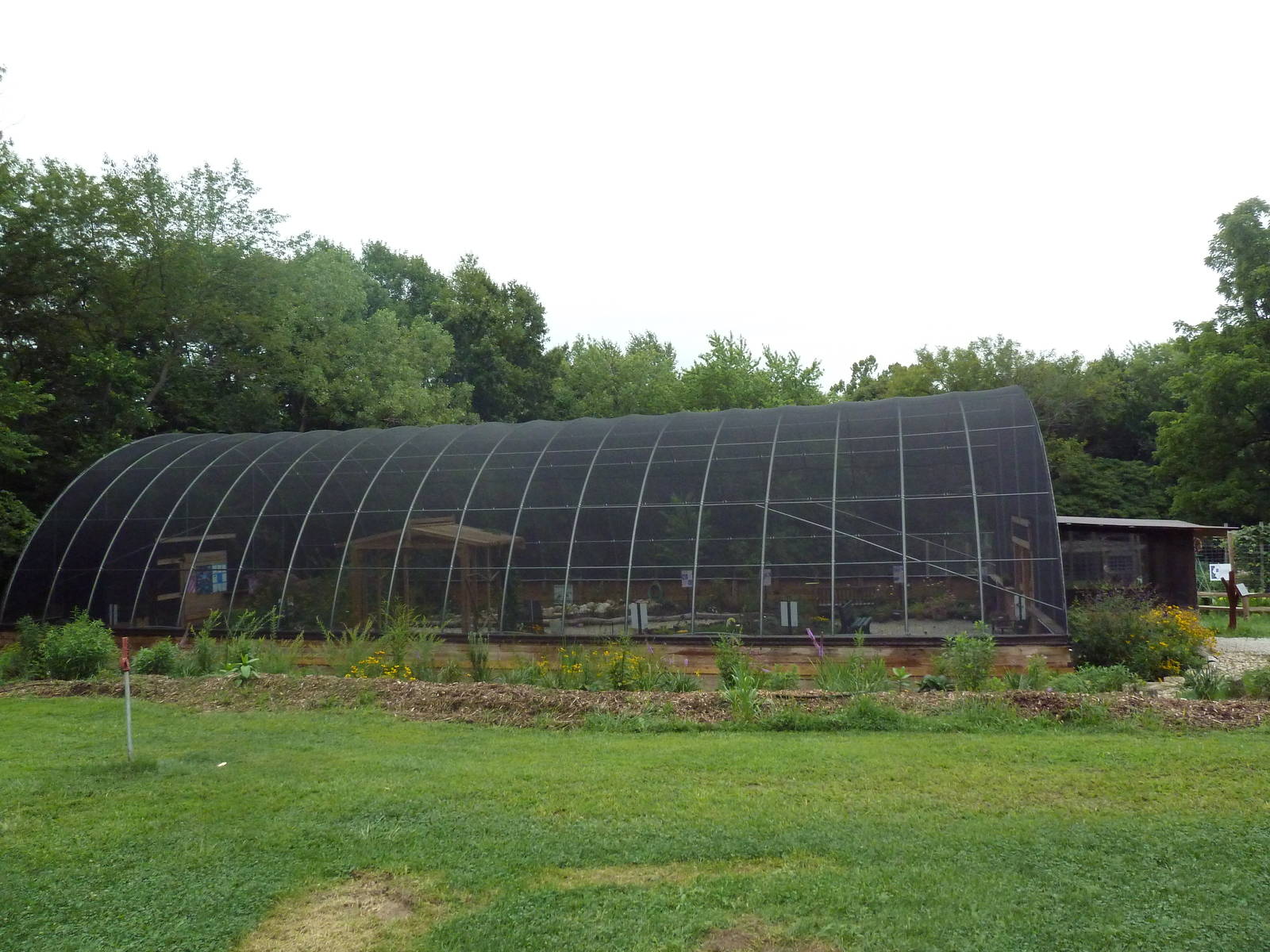 Walk-Through Butterfly Conservatory