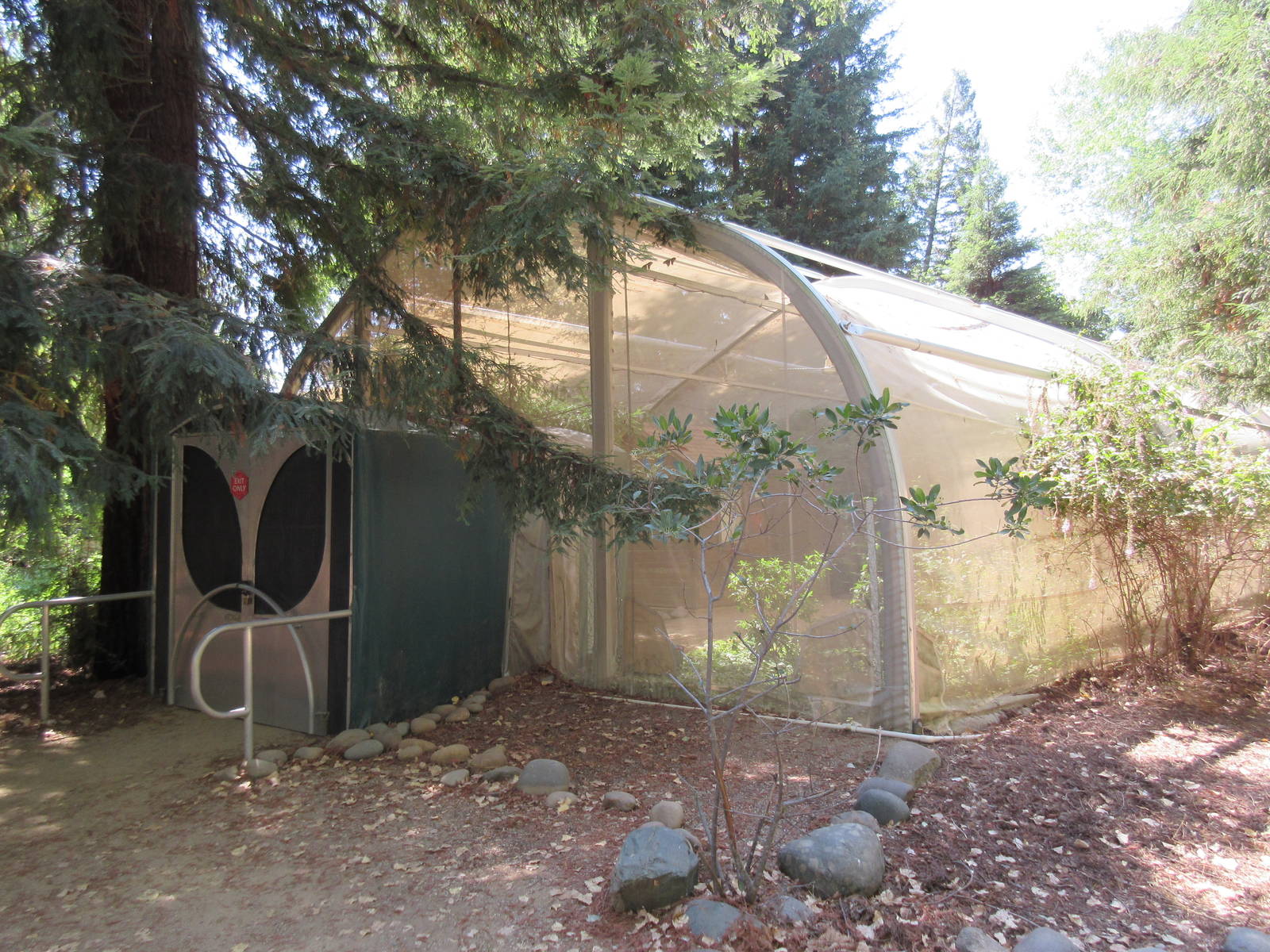 Walk-Through Butterfly Greenhouse
