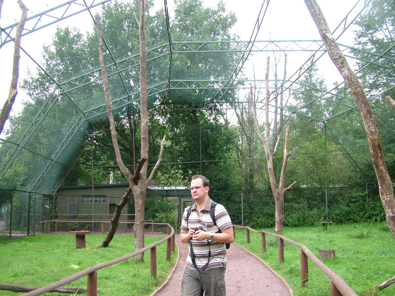 Walk-through colobus enclosure at Serengetipark Hodenhagen